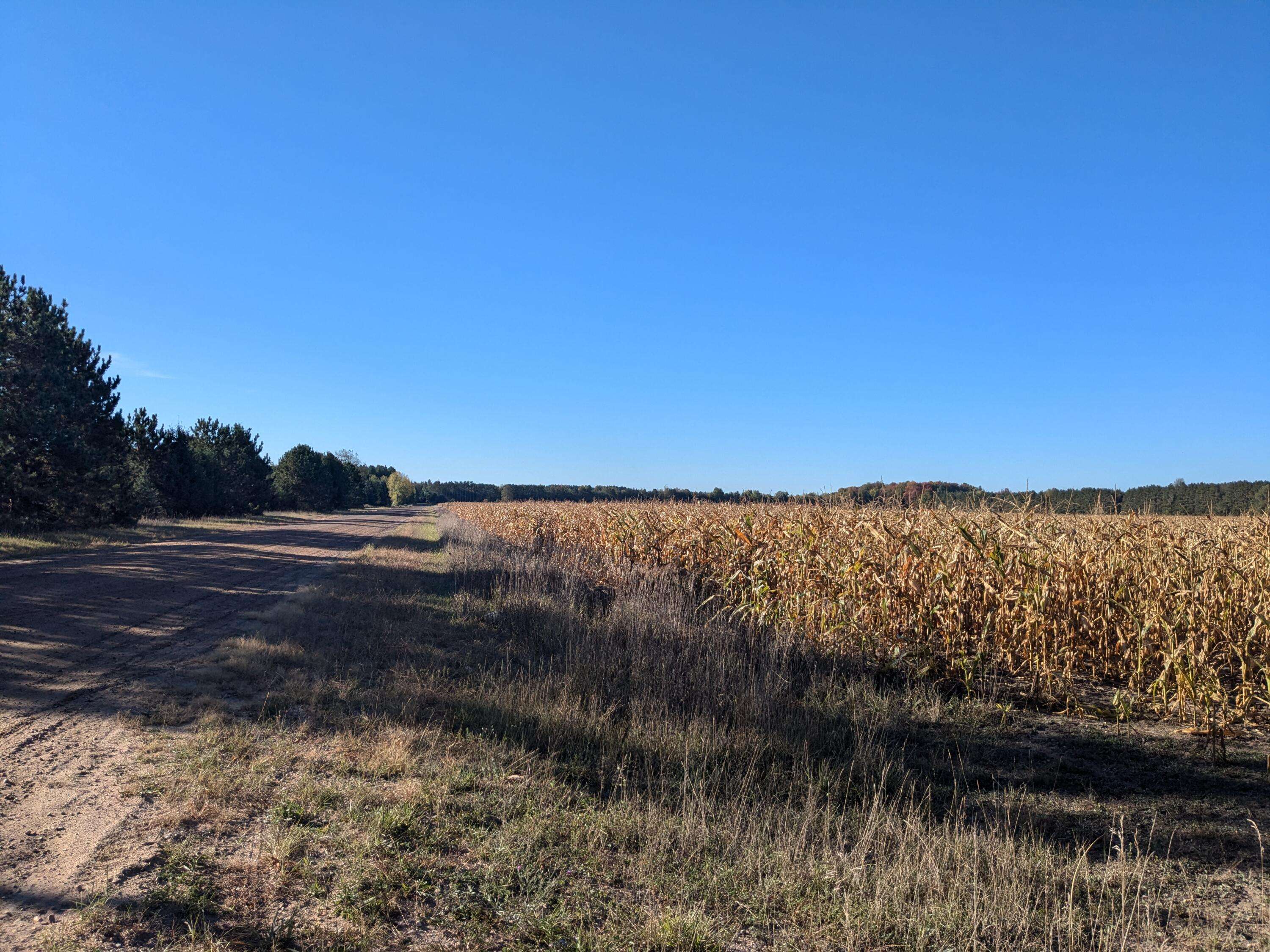 Kaleva, MI 49645,0 V/L 10.33 acres  Niemi Road #PARCEL C