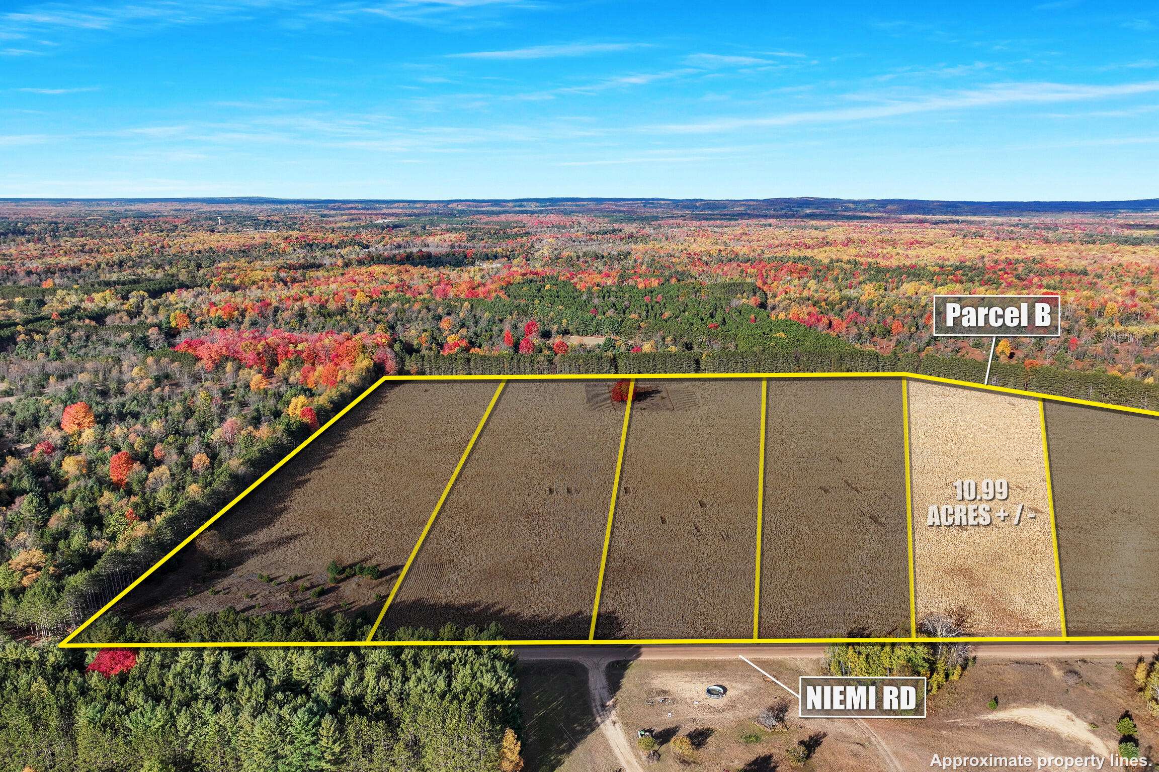 Kaleva, MI 49645,0 V/L 10.99 ACRES Niemi Road #PARCEL B