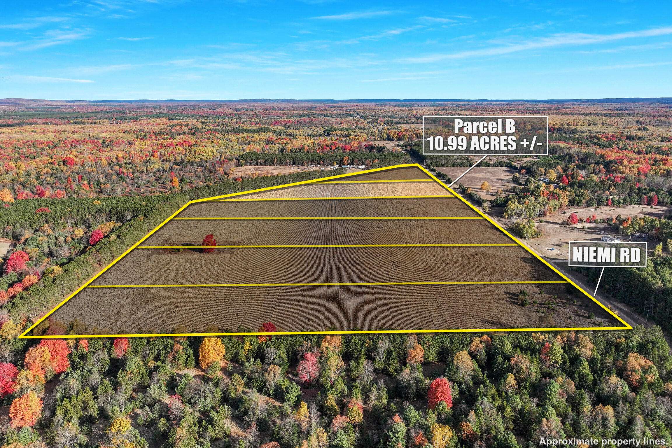 Kaleva, MI 49645,0 V/L 10.99 ACRES Niemi Road #PARCEL B