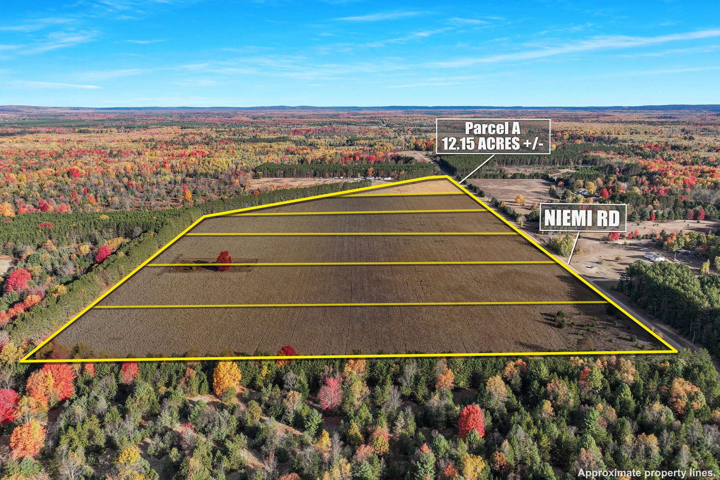 Kaleva, MI 49645,0 V/L 12.15 ACRES Niemi Road #PARCEL A