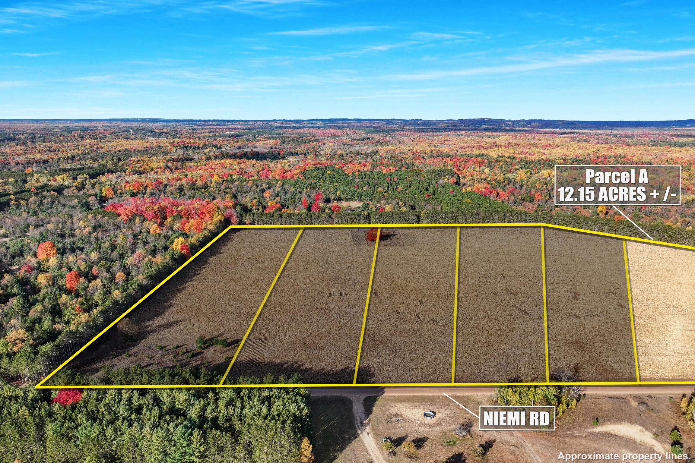 Kaleva, MI 49645,0 V/L 12.15 ACRES Niemi Road #PARCEL A