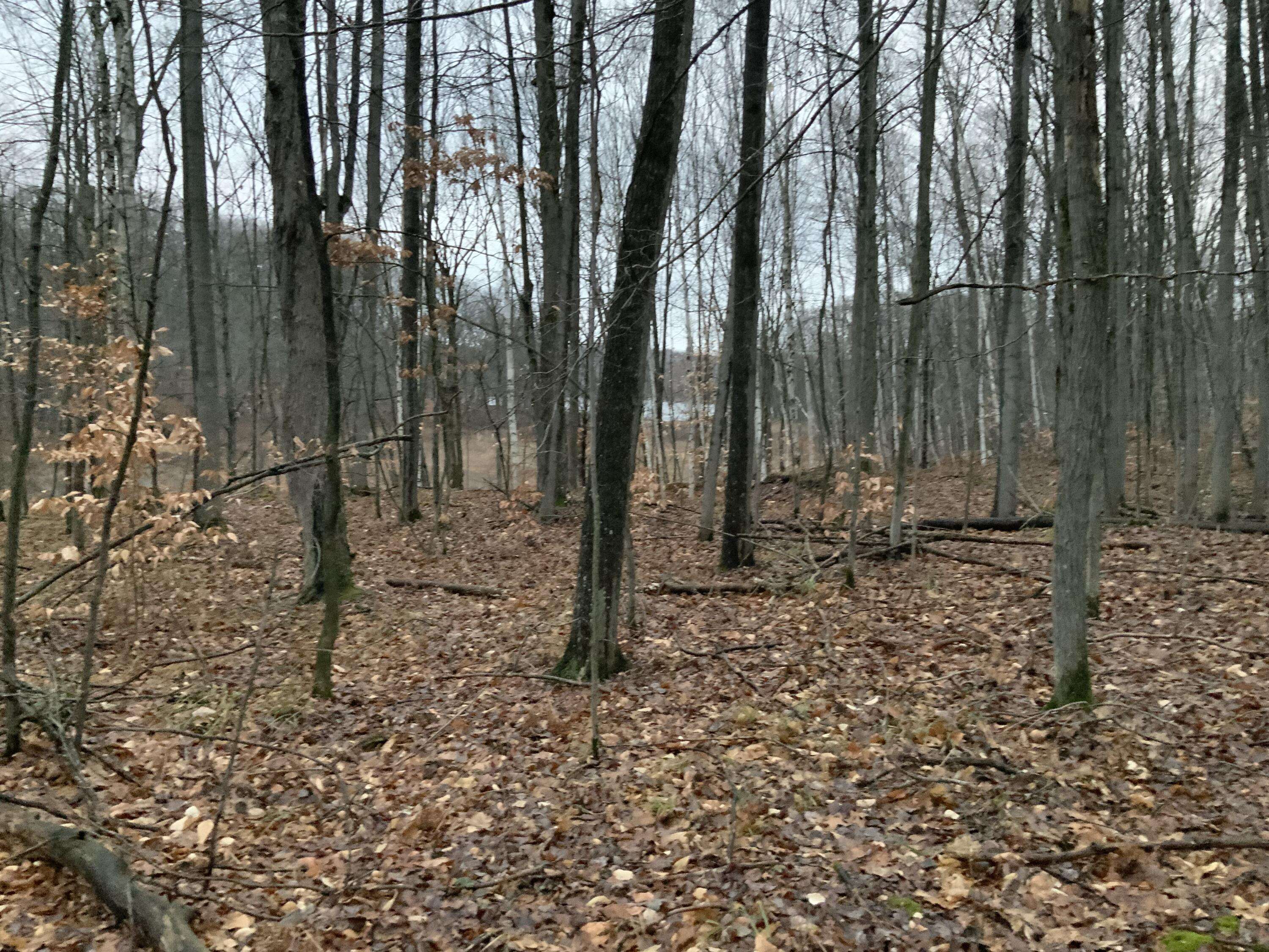 Reed City, MI 49677,Bern Drive #Lot 31