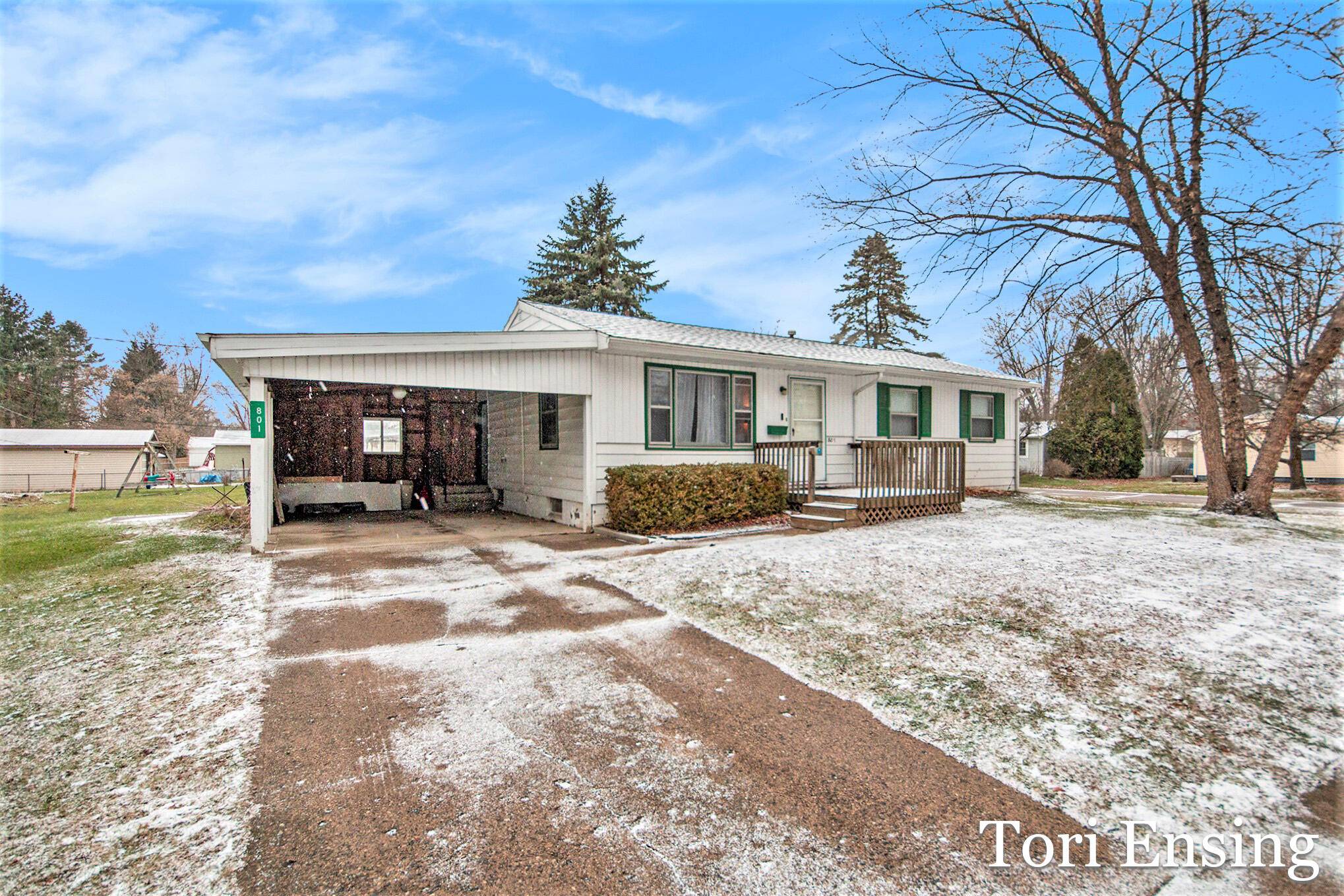 Greenville, MI 48838,801 S Tana Street