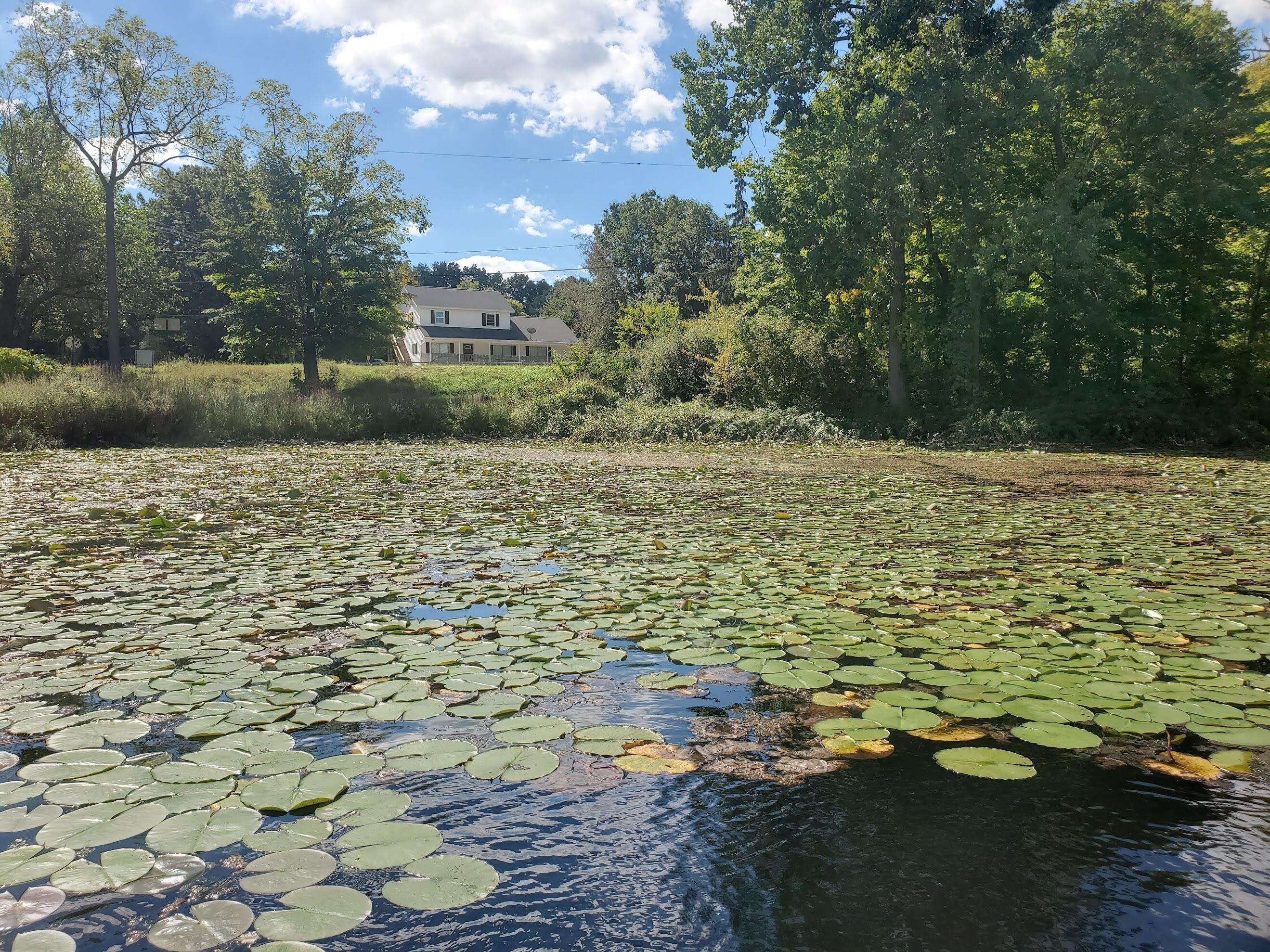 Grass Lake, MI 49240,8400 Clear Lake Road