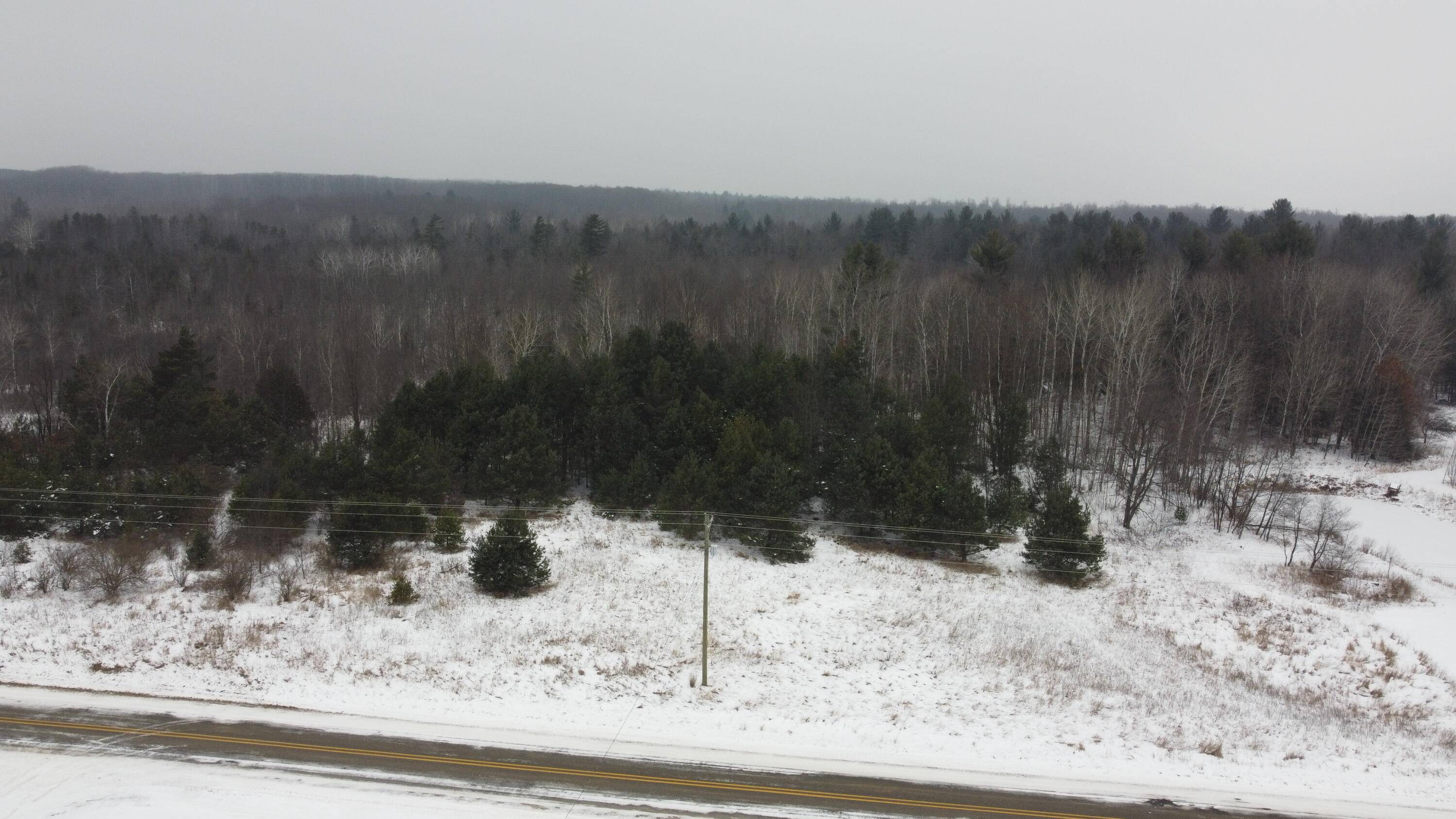 Chase, MI 49623,2 acres E V/L E 48th Street