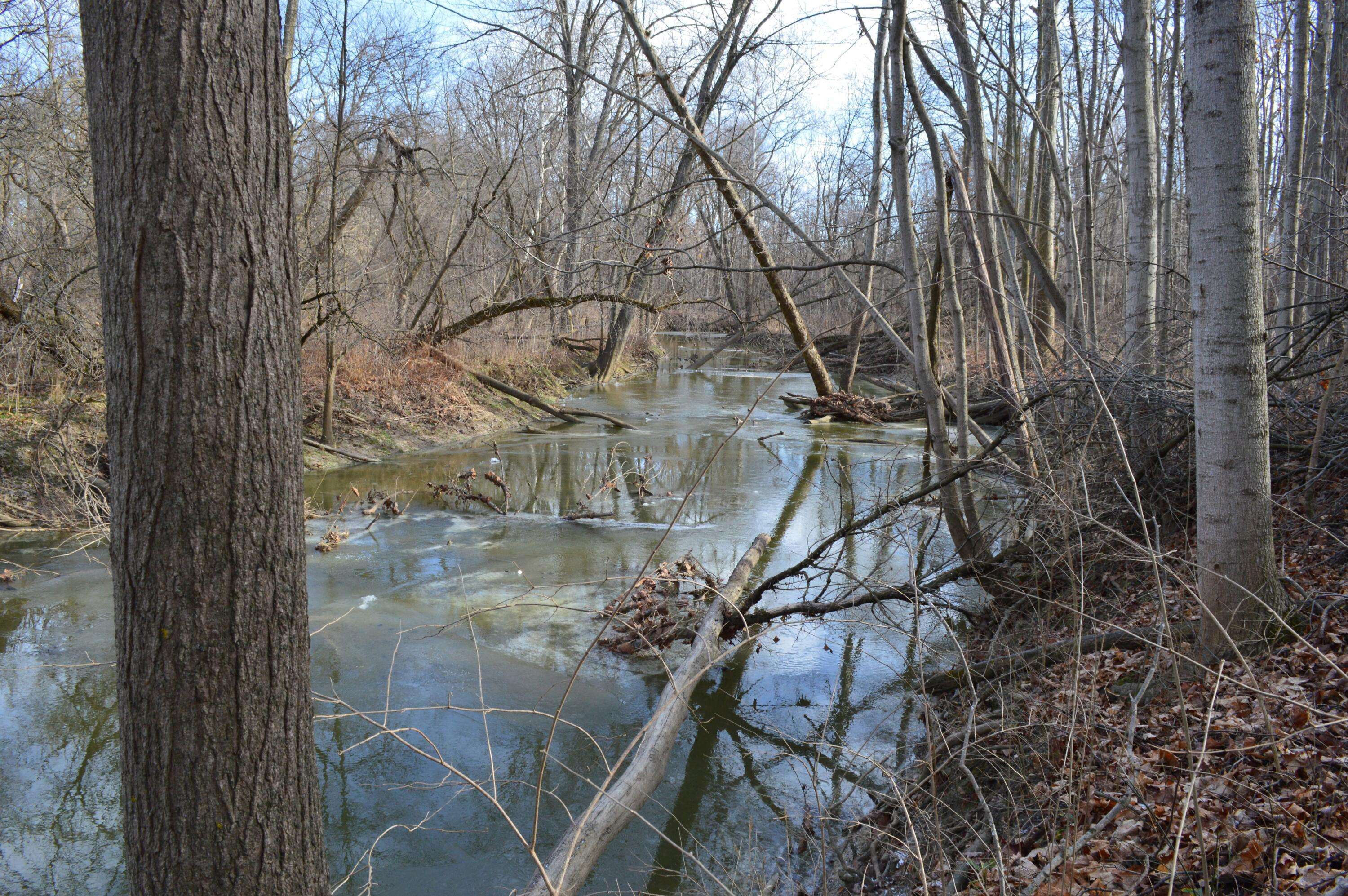 Milan, MI 48160,1606 Mooreville Road