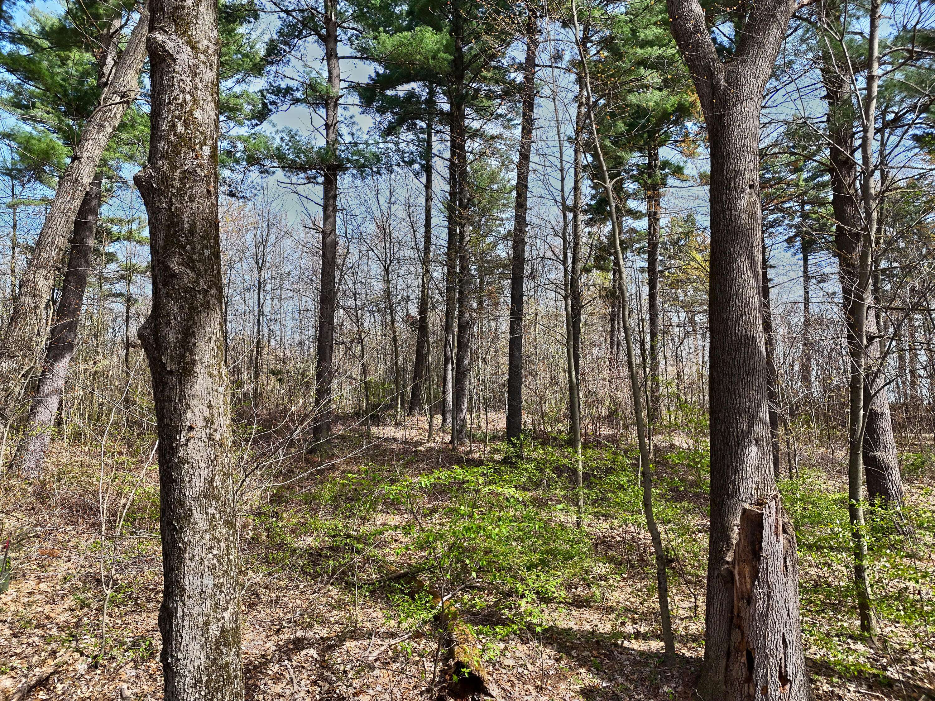 Dowagiac, MI 49047,VL Misty Pines
