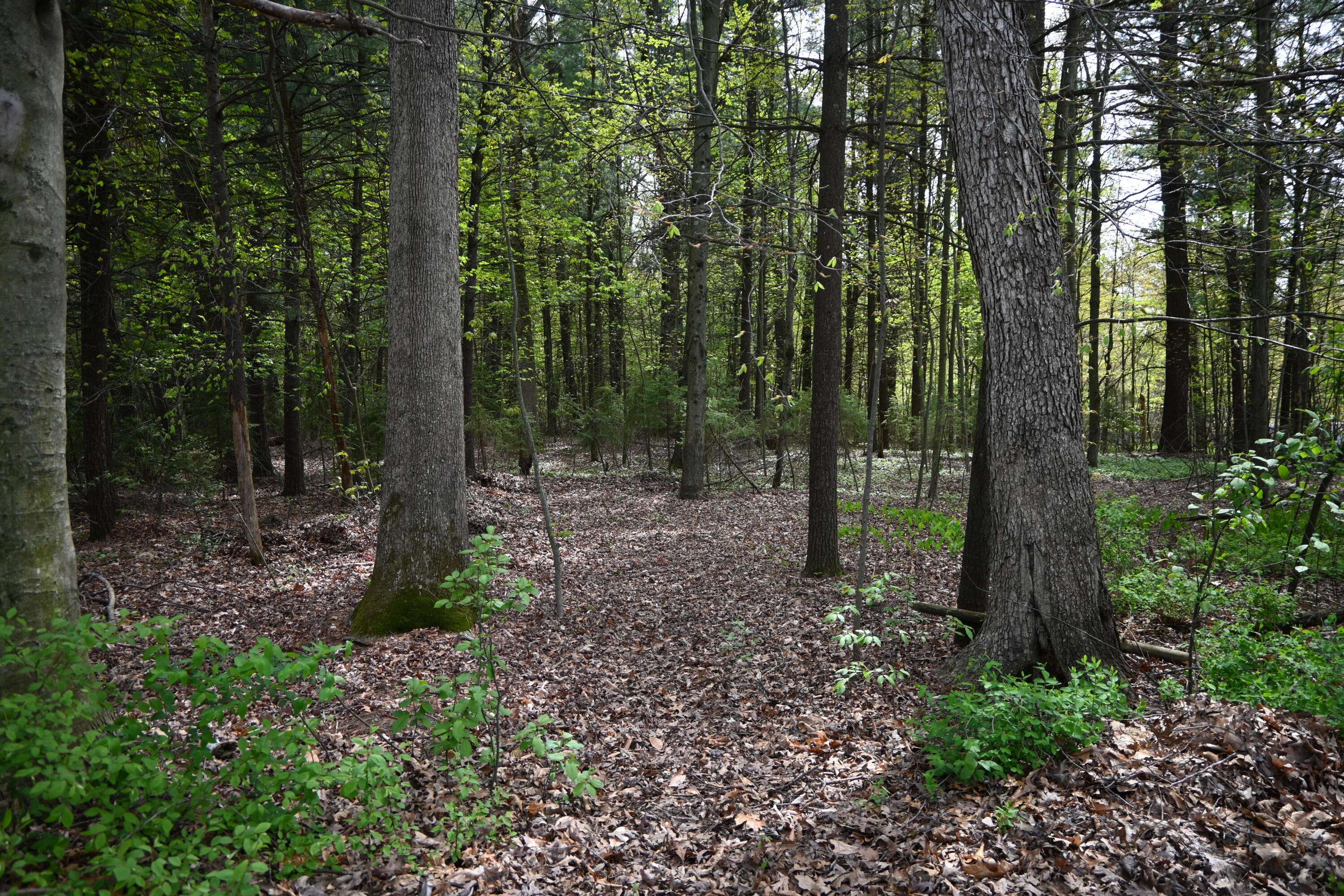 Twin Lake, MI 49457,V/L 6th Street
