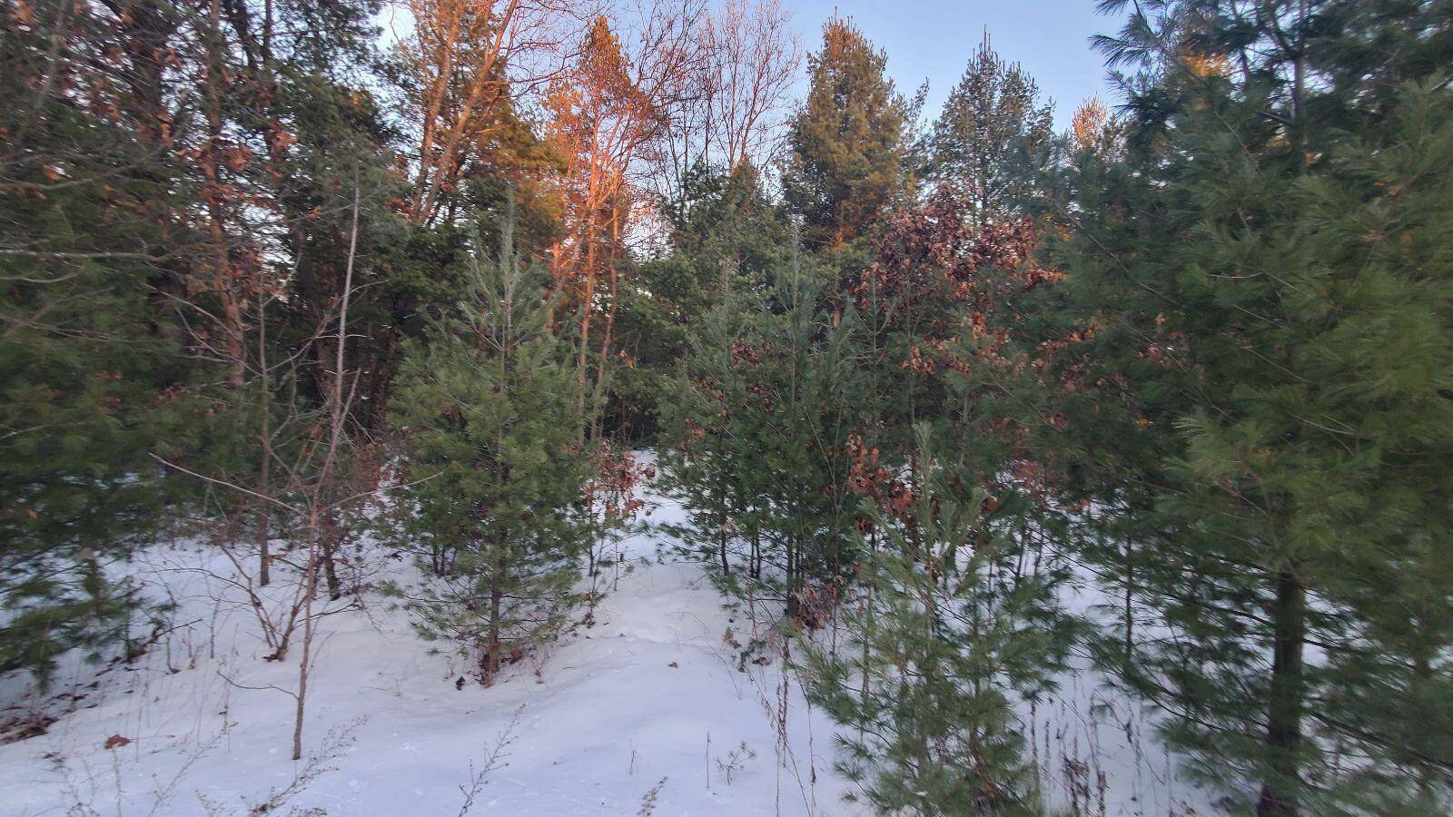 White Cloud, MI 49349,456 S Nancy Drive
