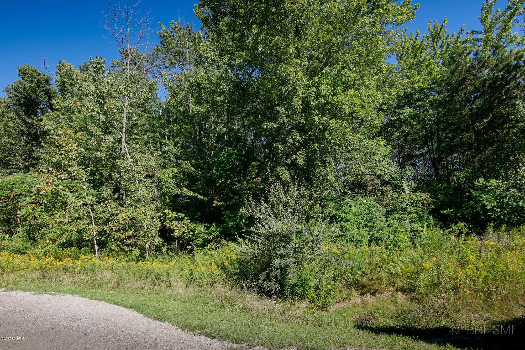 South Haven, MI 49090,Maple Street #Lot 4 & 5