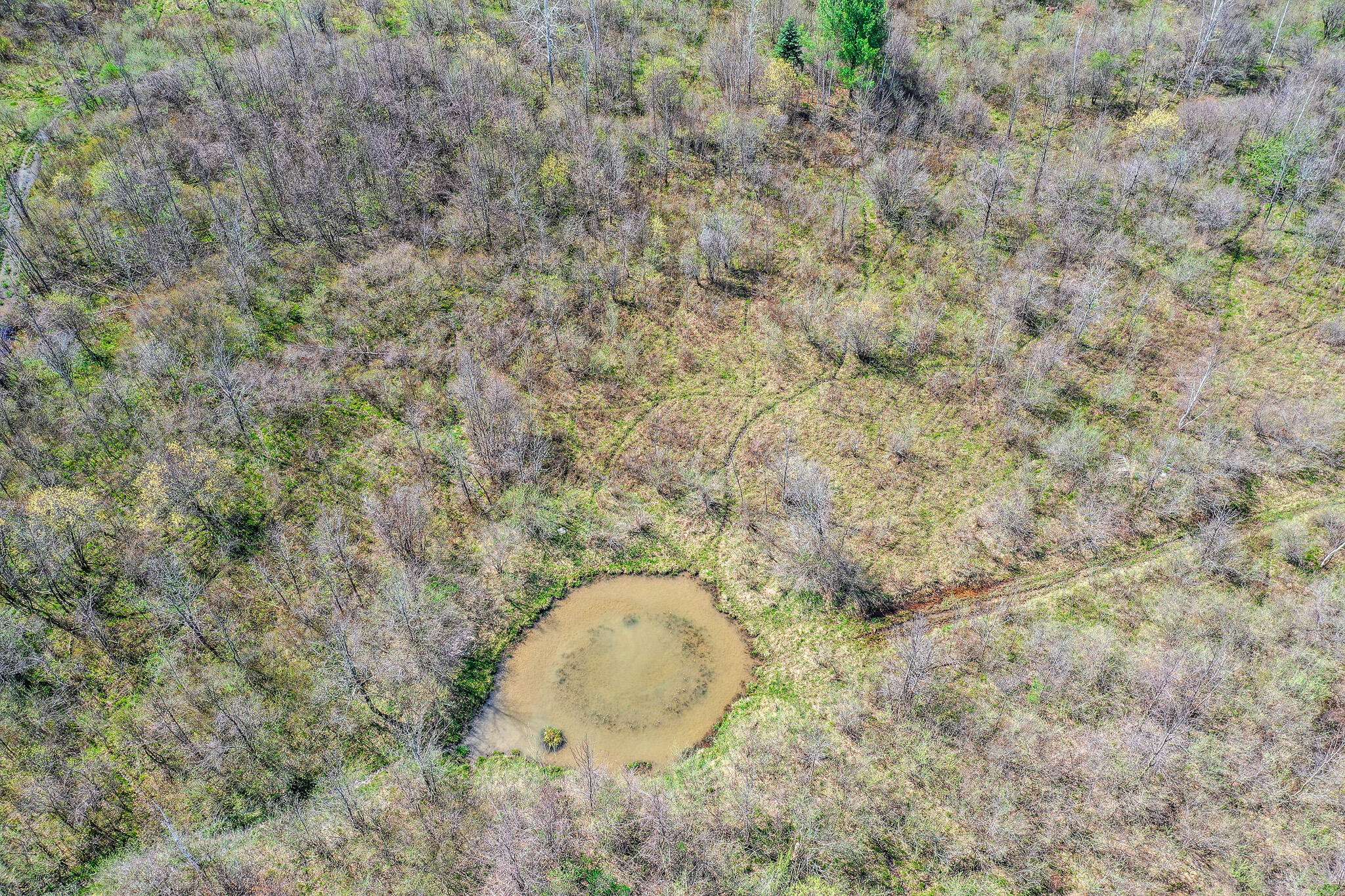 Snover, MI 48472,LOT B Ubly rd
