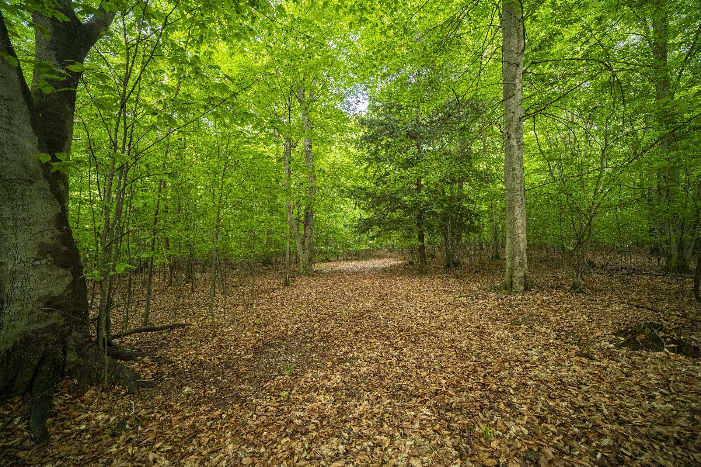 Manistee, MI 49660,Wildwood Trail