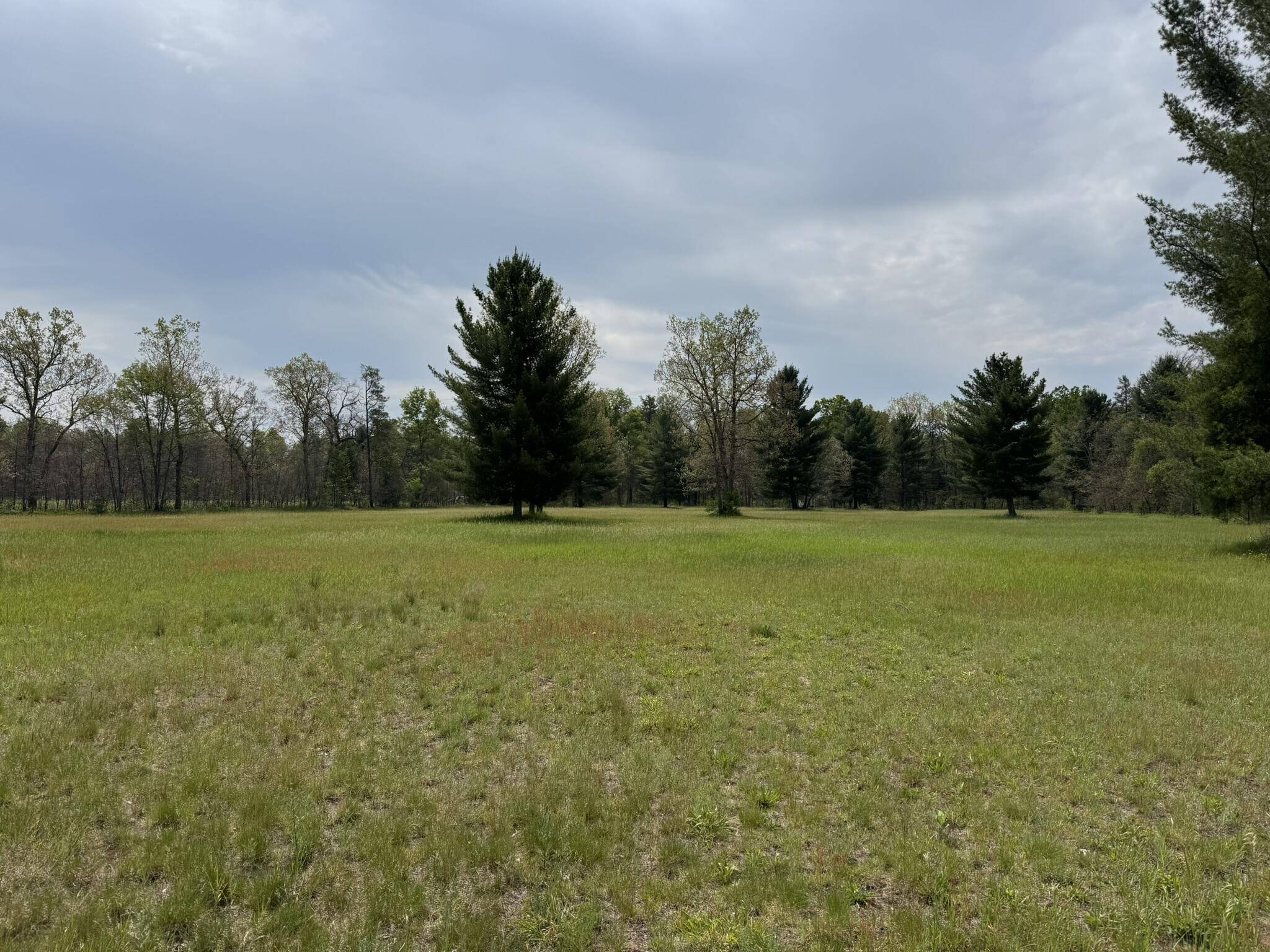 Idlewild, MI 49642,2401 US 10