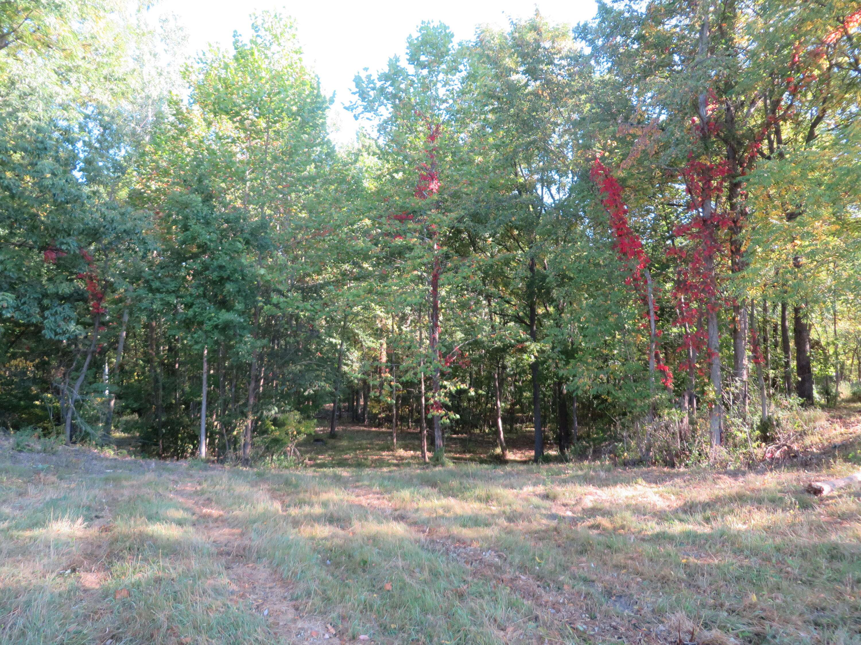 Kentwood, MI 49512,3473 Breezewood SE Court