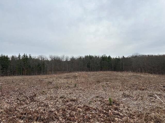 White Cloud, MI 49349,2599 N Pine Parcel B Avenue