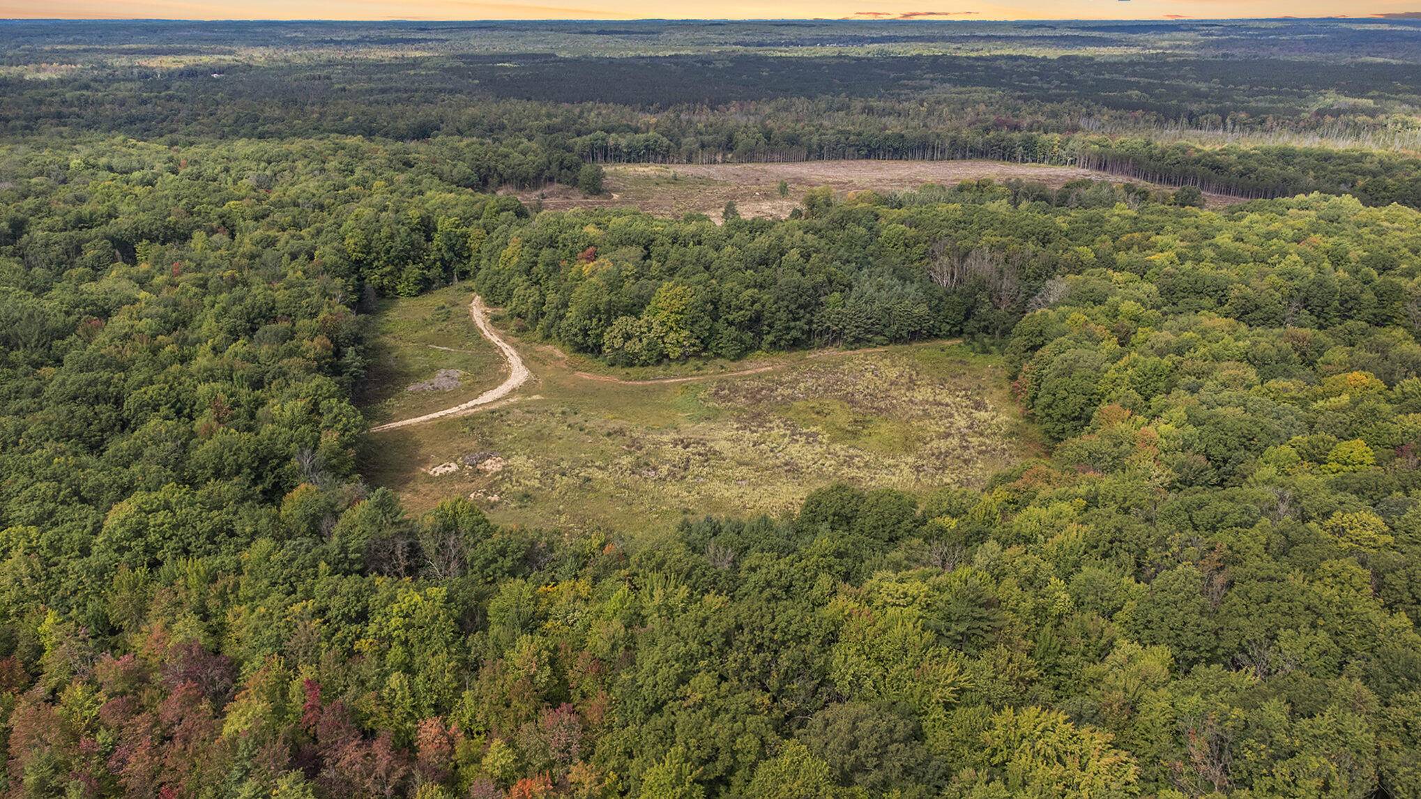 White Cloud, MI 49349,2599 N Pine Parcel C Avenue