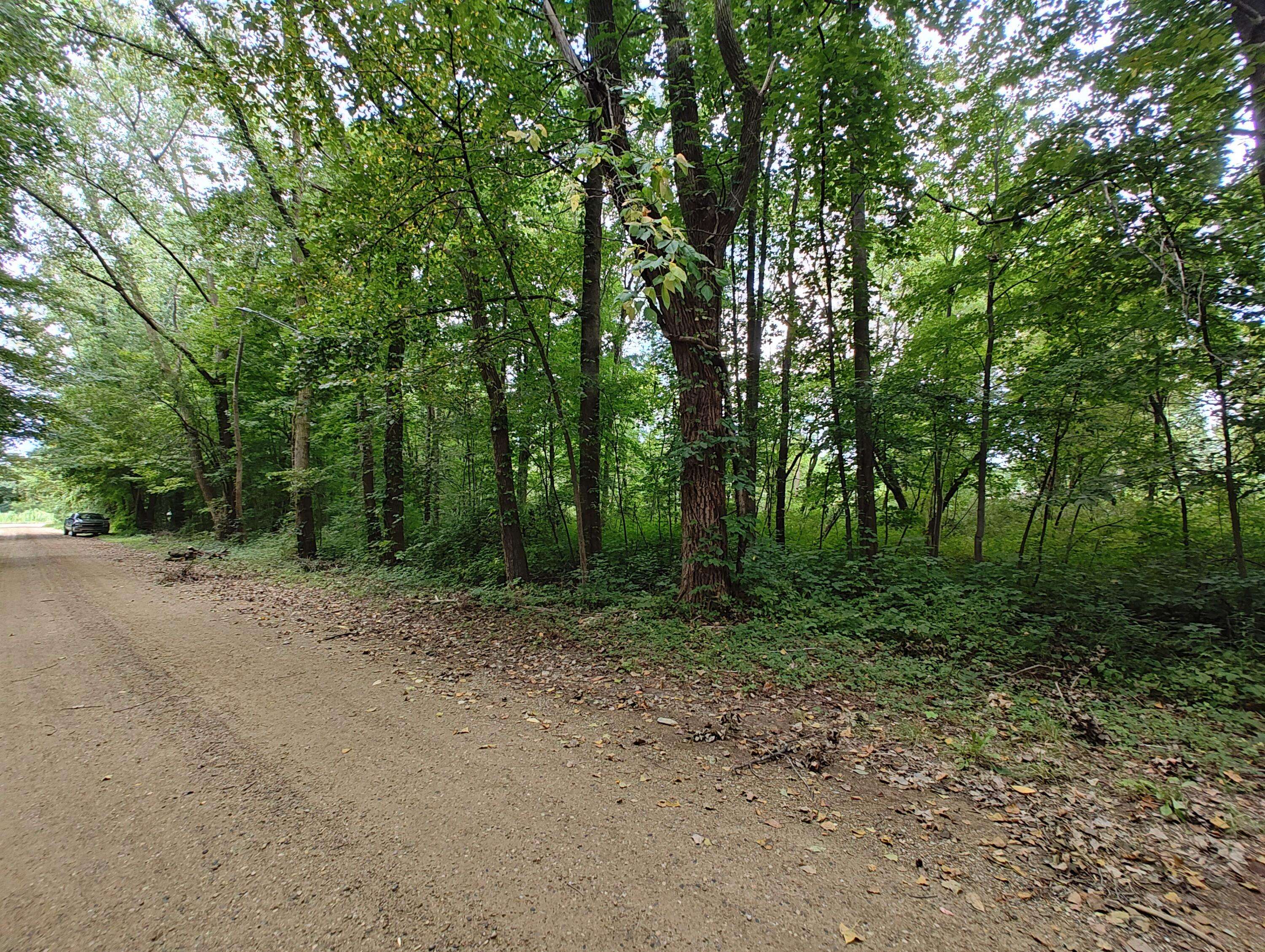 Benton Harbor, MI 49022,VL Clinton Road
