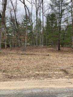 Baldwin, MI 49304,LOT 18 S Star Lake Drive