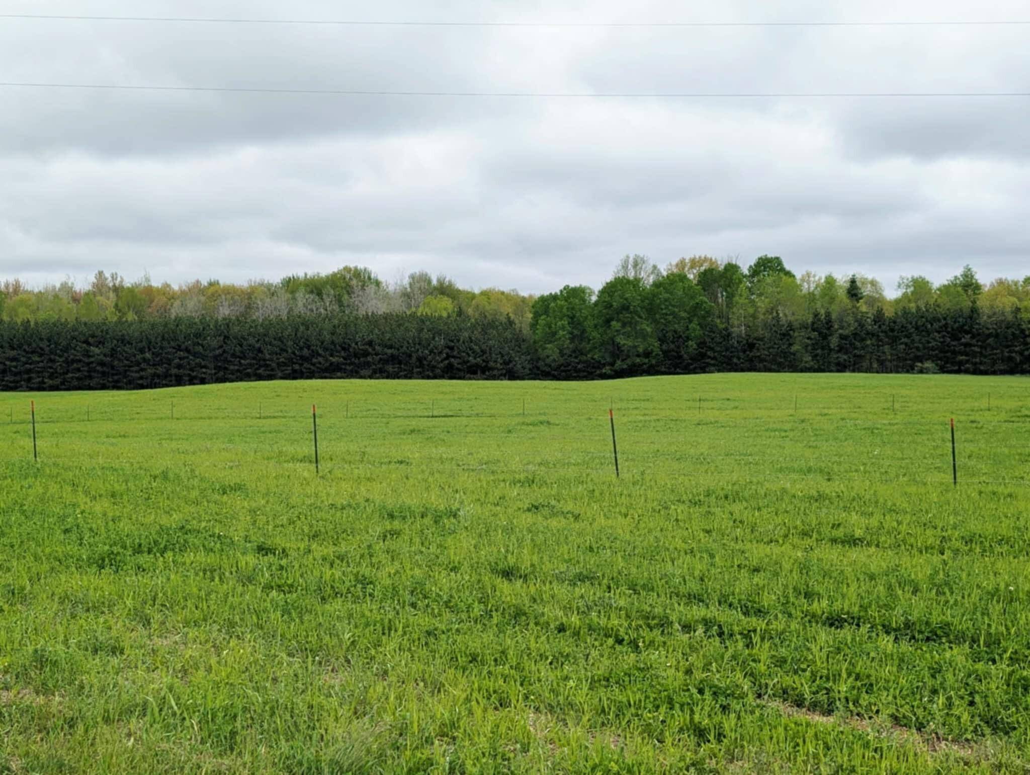 Farwell, MI 48622,11701 N Vandecar Road