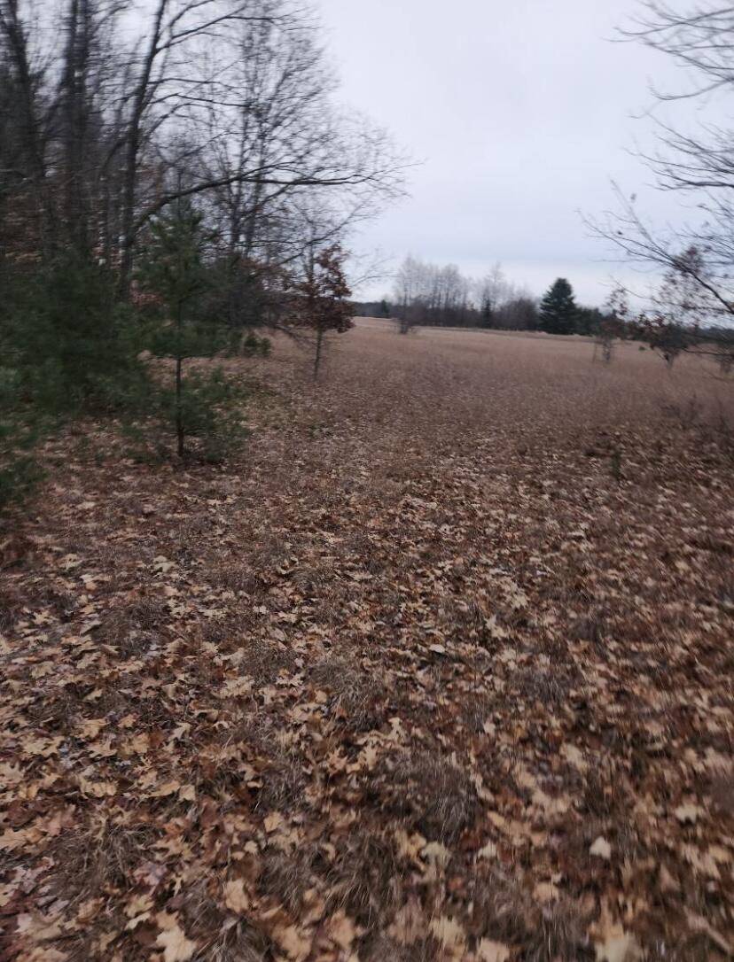 Kalkaska, MI 49646,Vroom rd SW Road