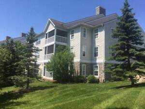 Ann Arbor, MI 48103,1201 Joyce Lane