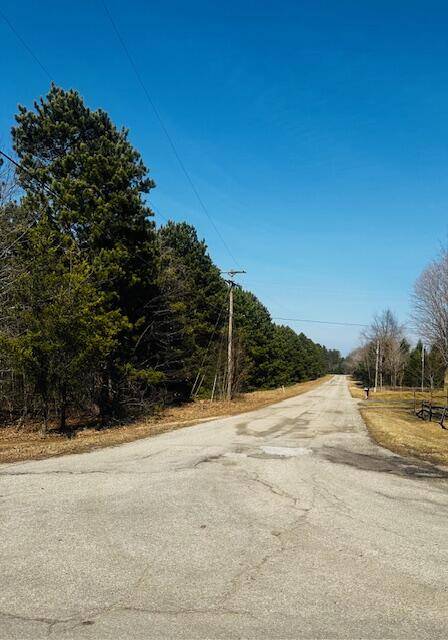 Bear Lake, MI 49614,Twelfth Street