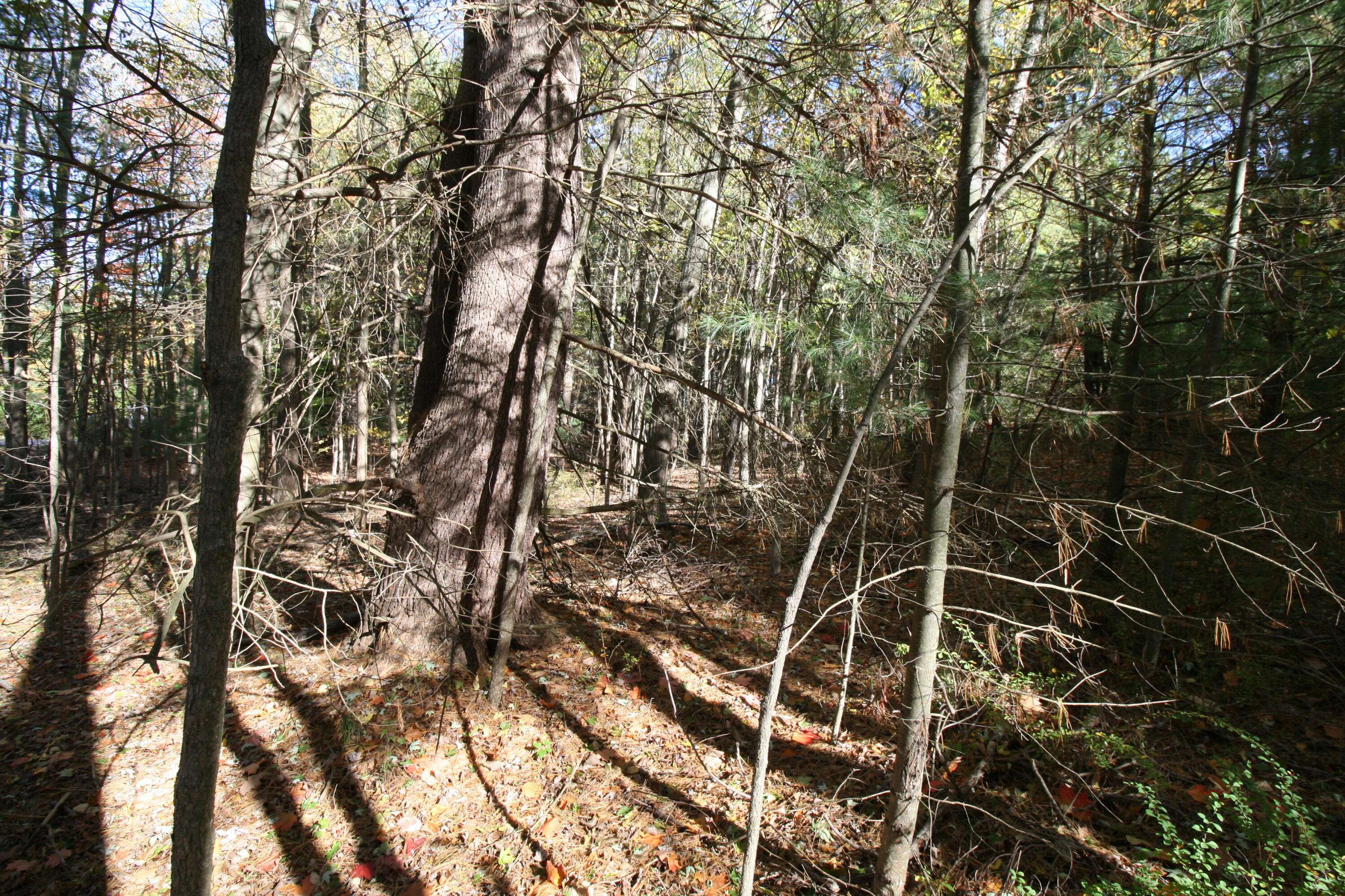 South Haven, MI 49090,C.3 70th Street