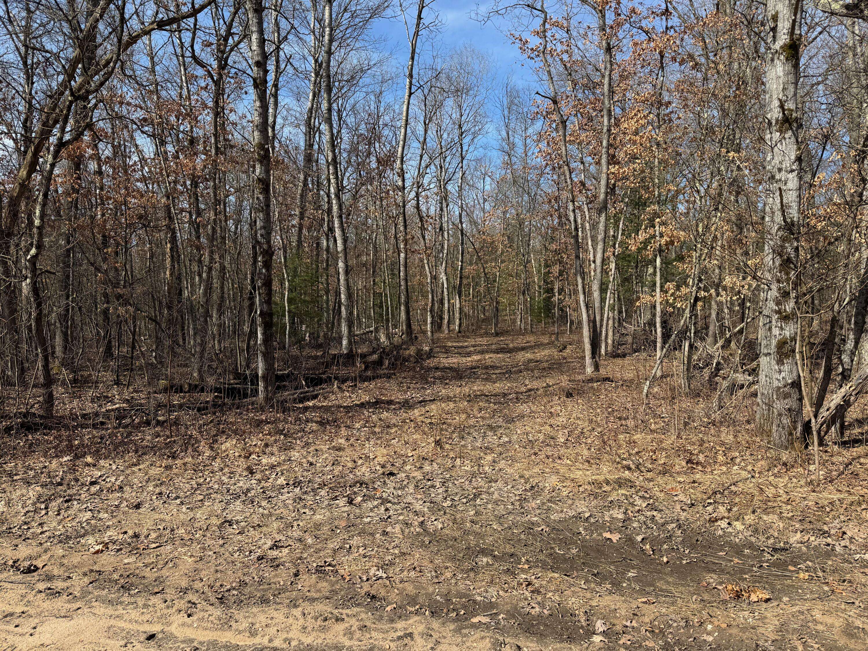 Wellston, MI 49689,Mary Street