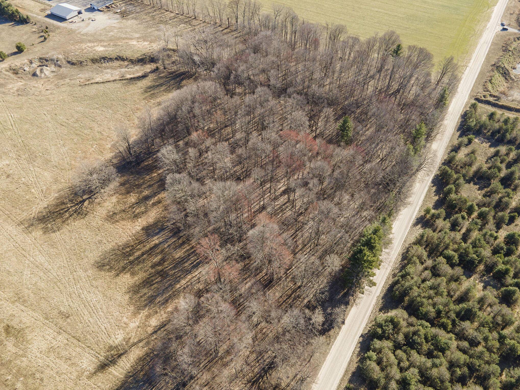 Six Lakes, MI 48886,V/L Waterwheel Road