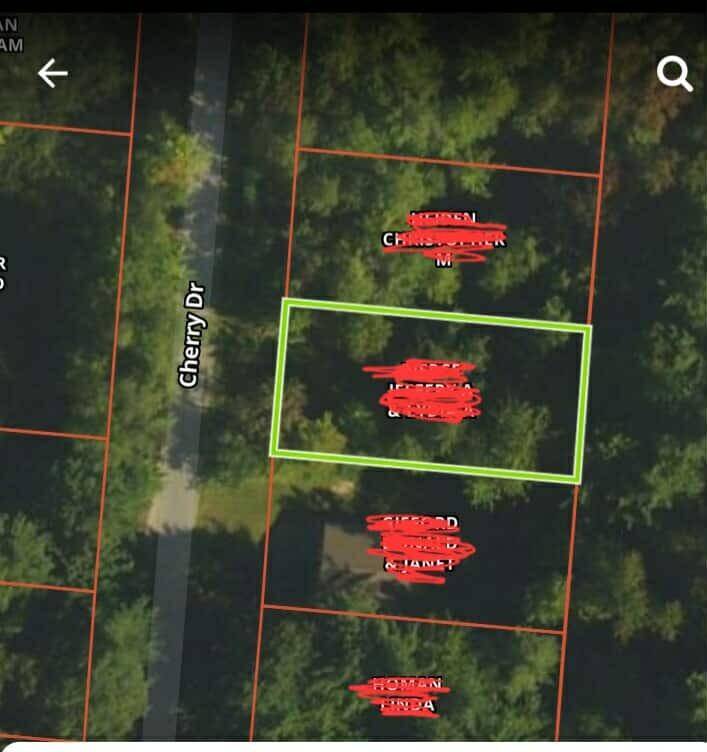 Lakeview, MI 48850,Cherry Drive