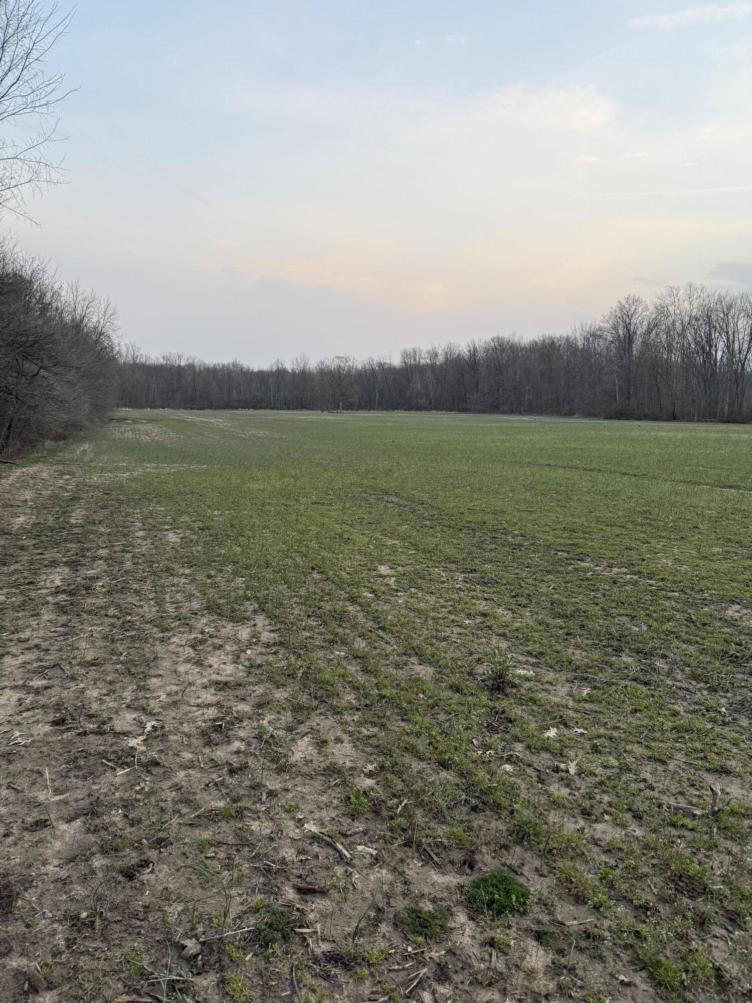 Paw Paw, MI 49079,41177 38th Avenue