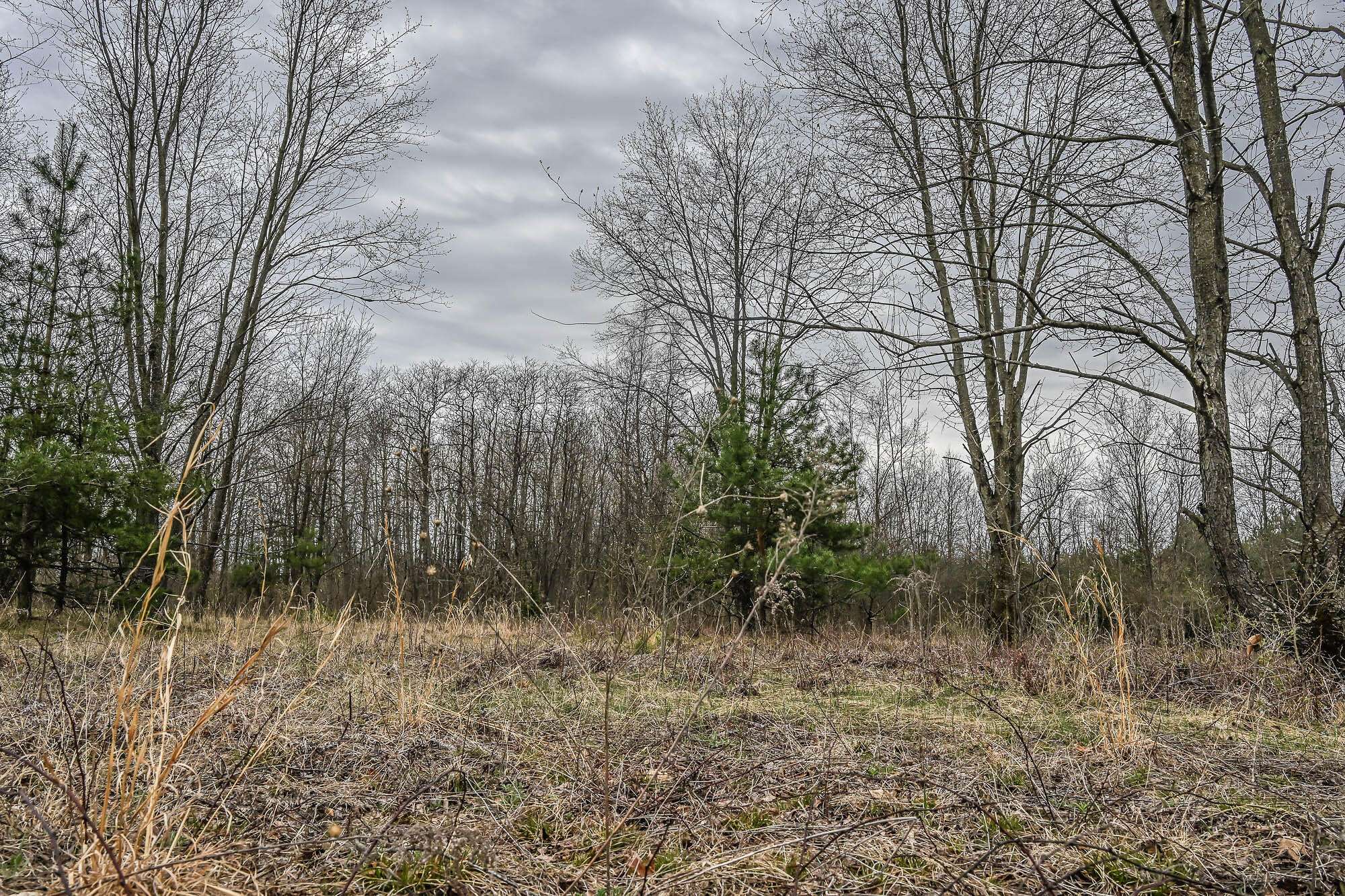 Rothbury, MI 49452,W Clay Road