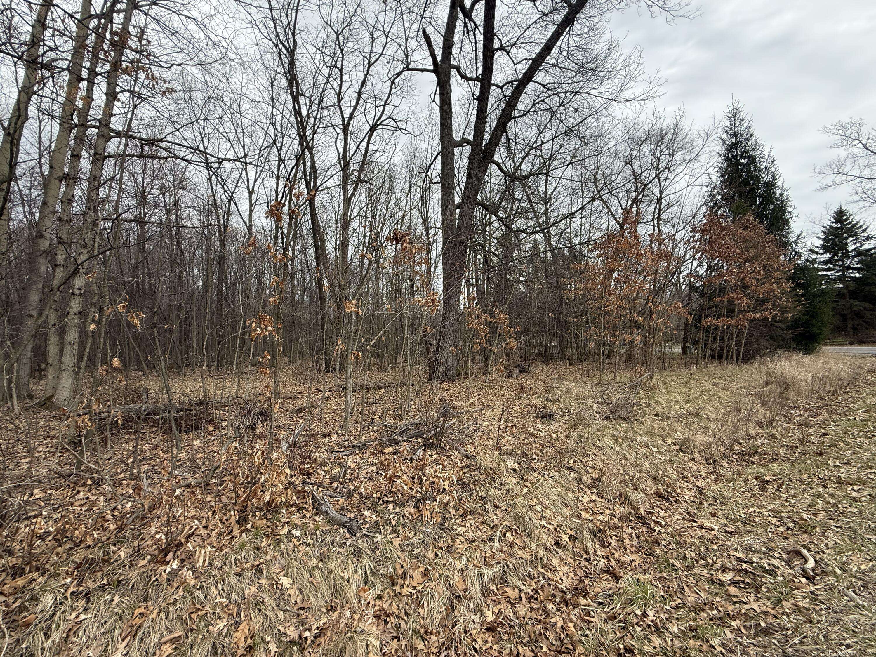 Stockbridge, MI 49285,0 Budd Rd