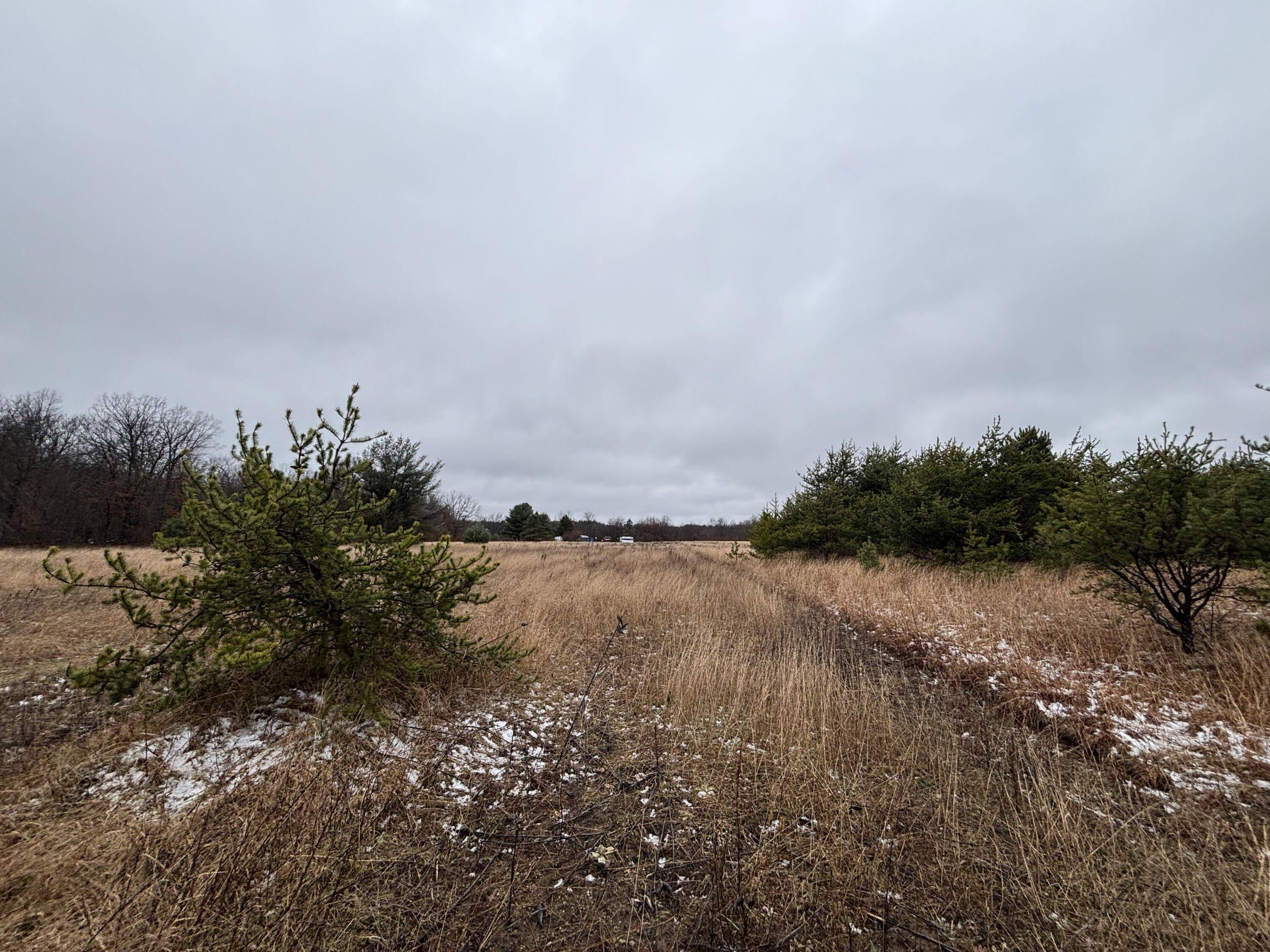 White Cloud, MI 49349,V/L 10A N Woodbridge Rd