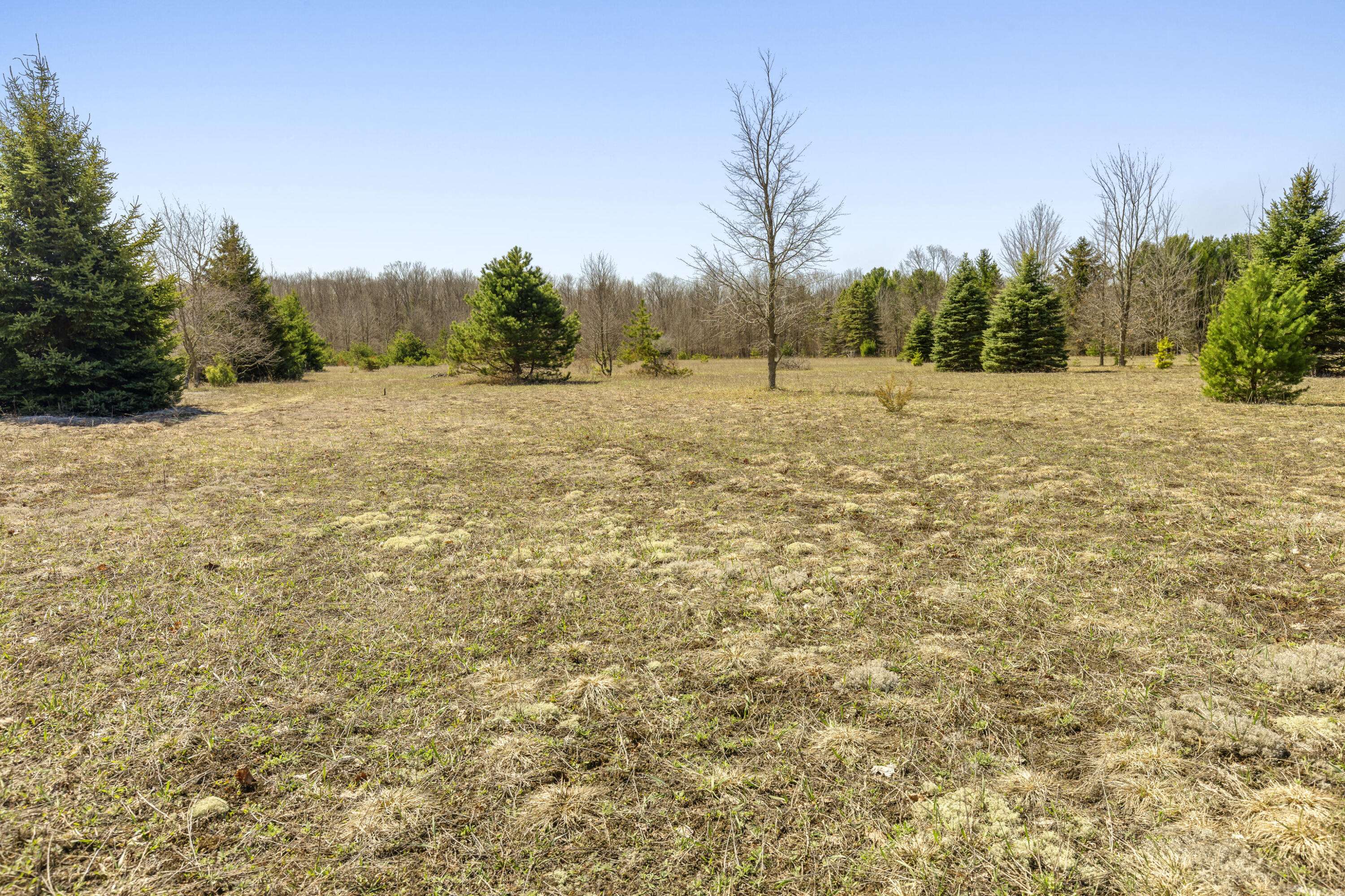 Beulah, MI 49617,Parcel A-2 Stanley Road