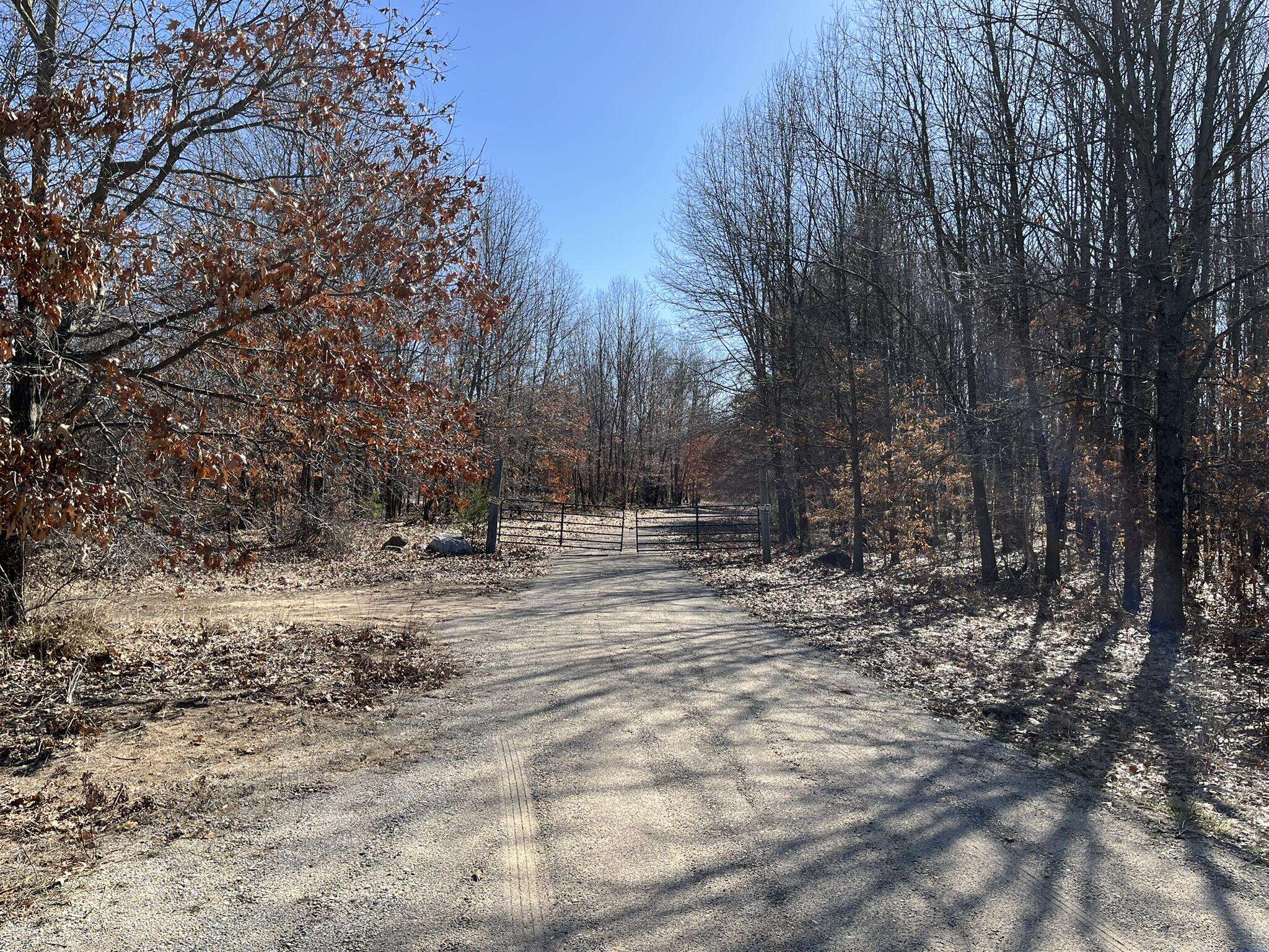 Hesperia, MI 49421,VL S 192nd Avenue #North 20 acres