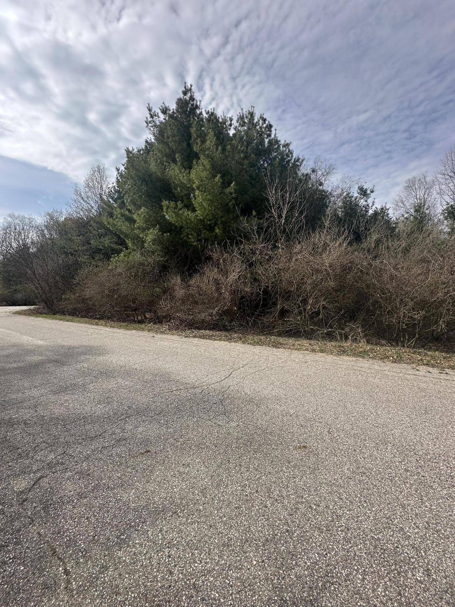 Hart, MI 49420,V/L-1 White Pine Drive
