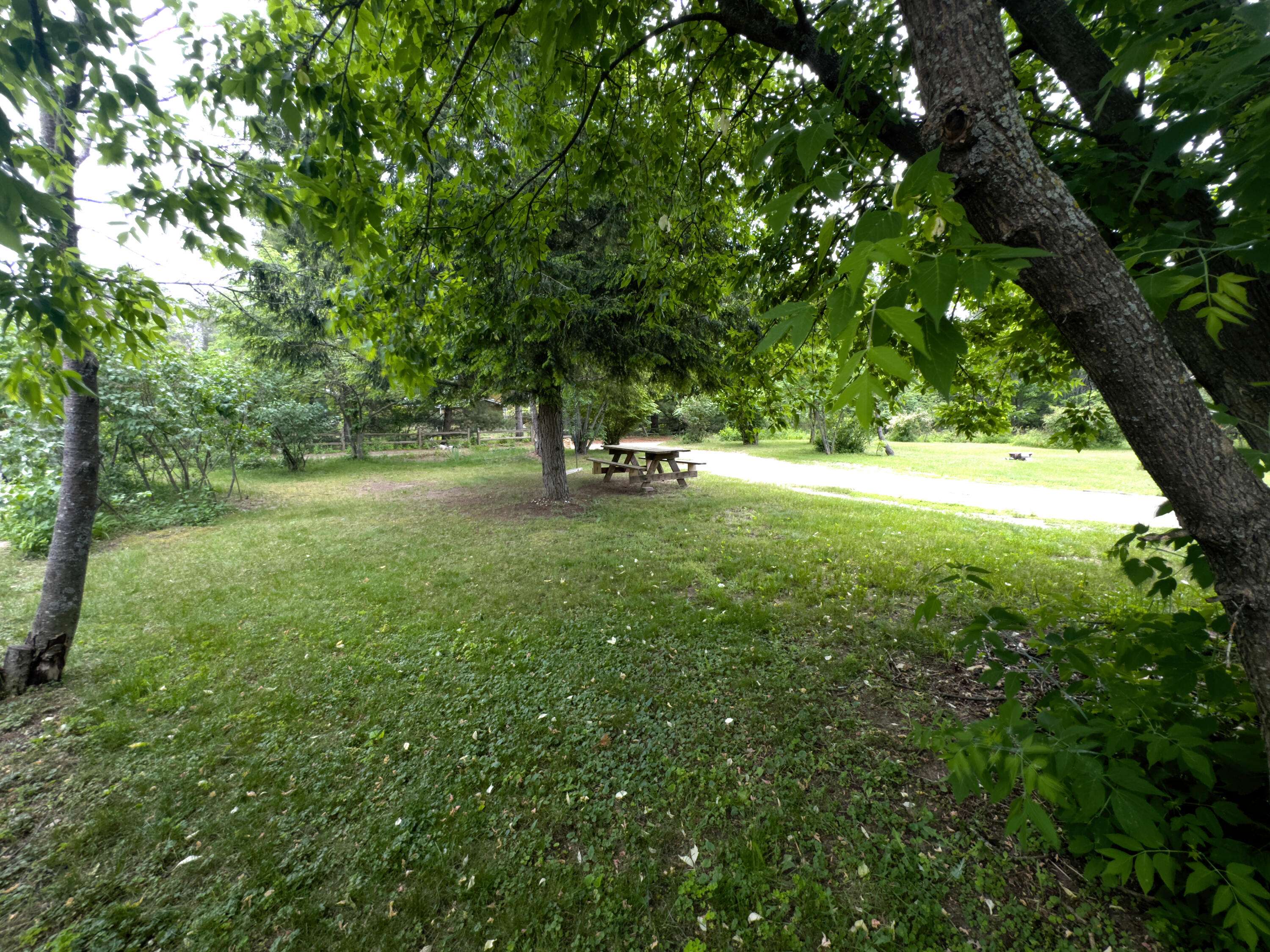 St. Helen, MI 48656,1559 Willett Road