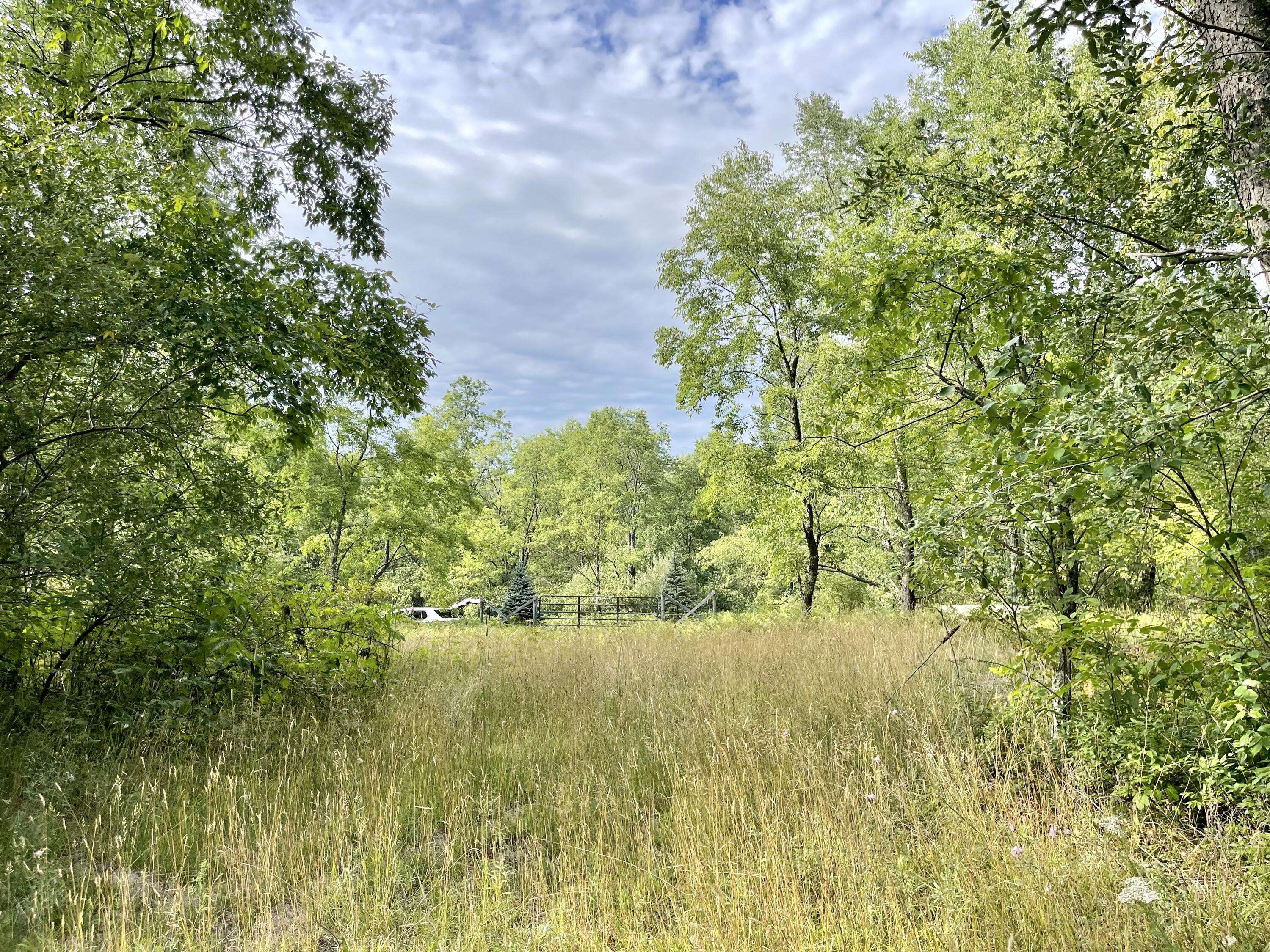 Free Soil, MI 49411,1217 E Beyer Road
