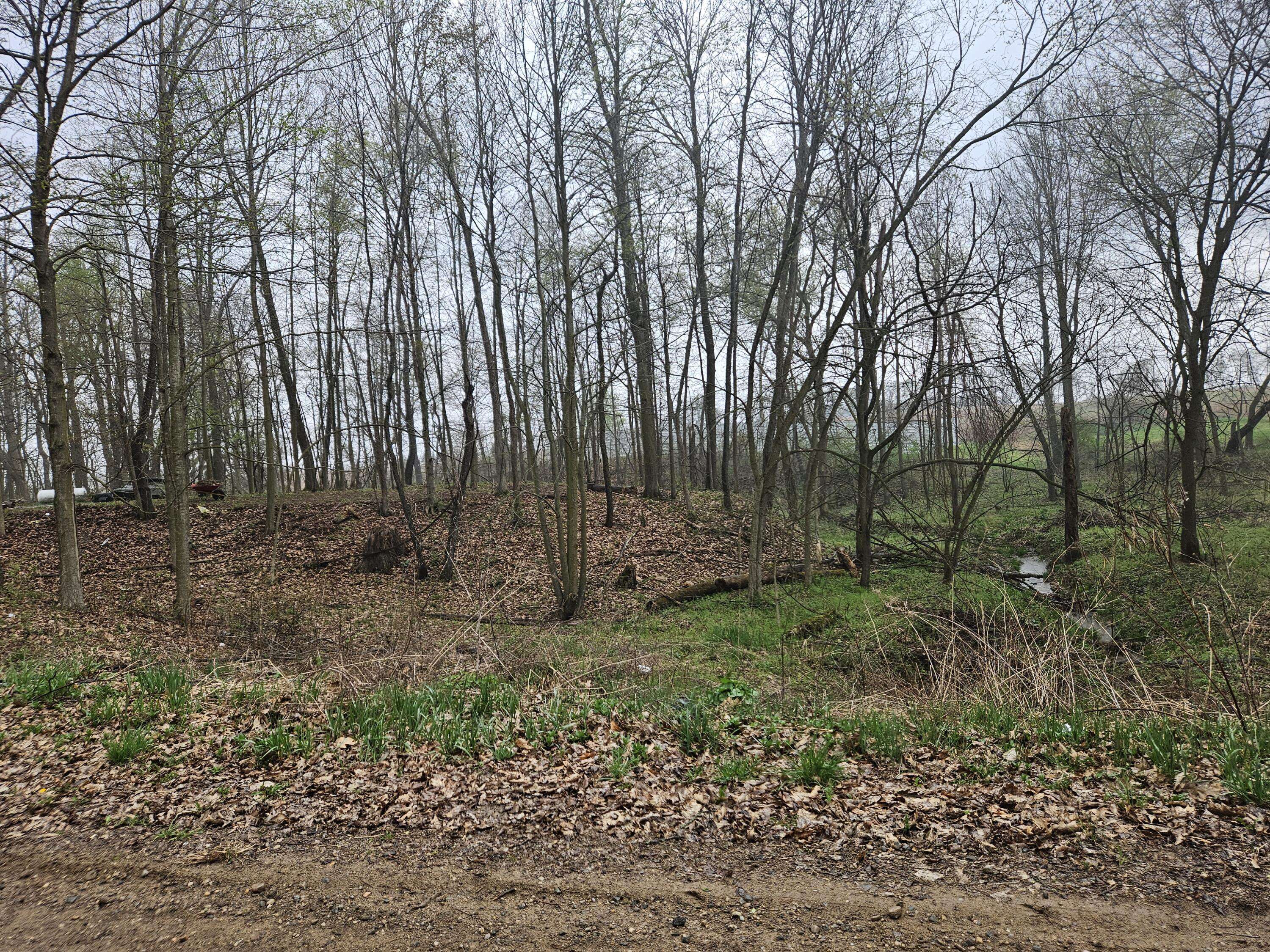Reading, MI 49274,8970 Wigent Road