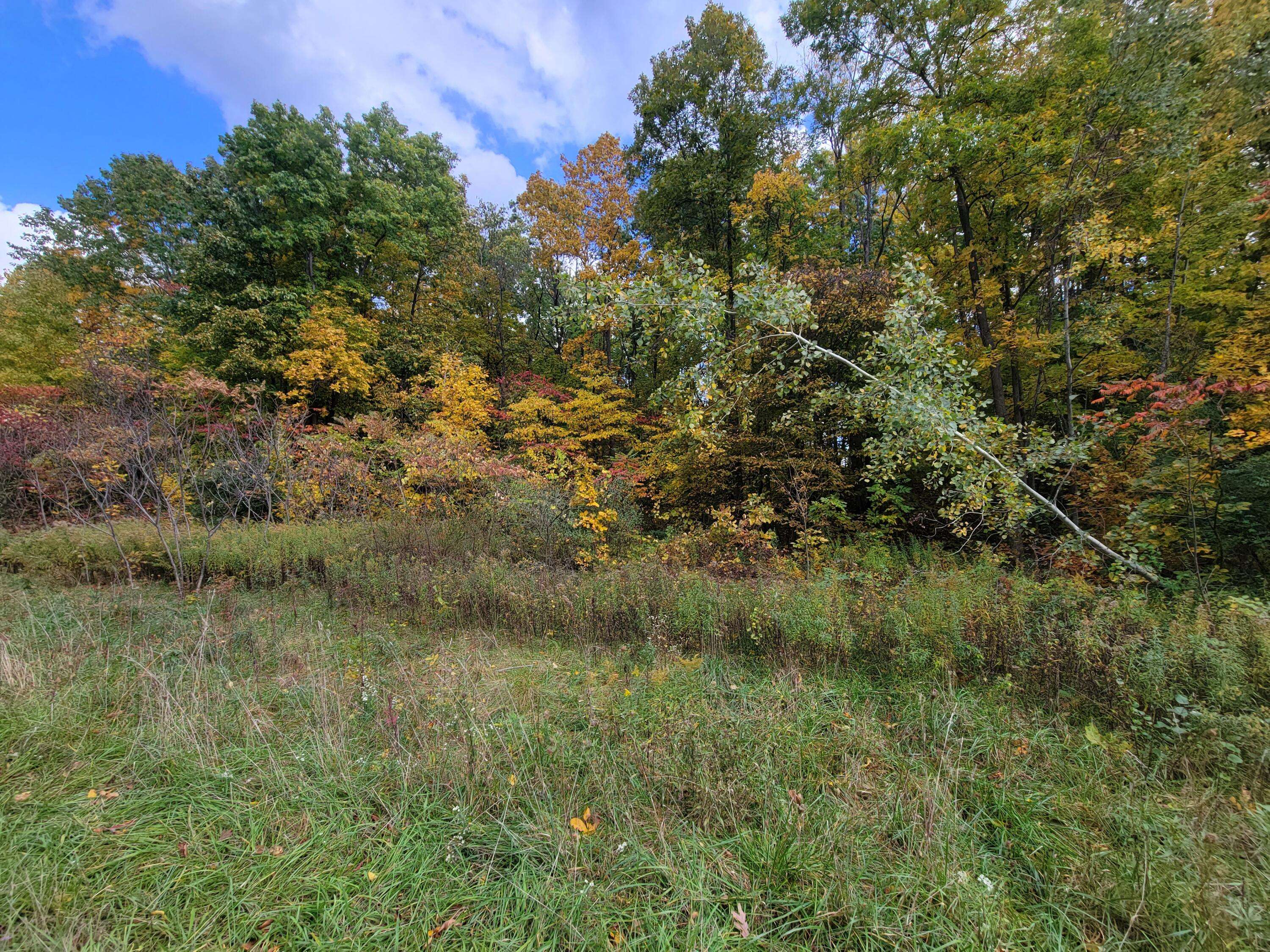 Lawton, MI 49065,74021 Ridgeway Drive