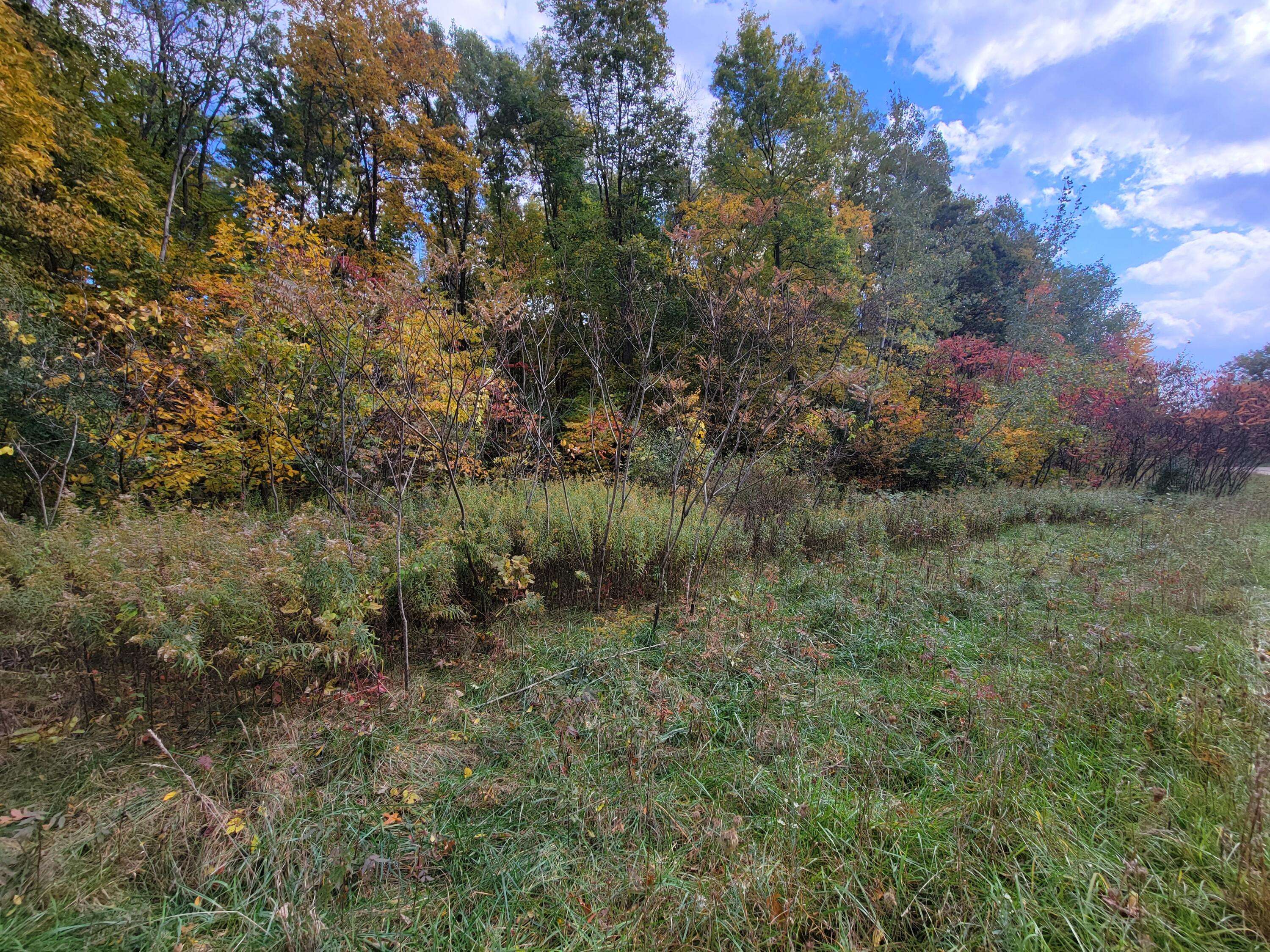 Lawton, MI 49065,74021 Ridgeway Drive