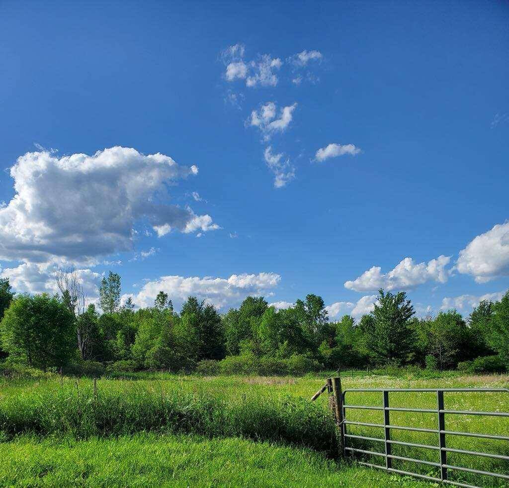 Hudson, MI 49247,18664 Bradstreet Road