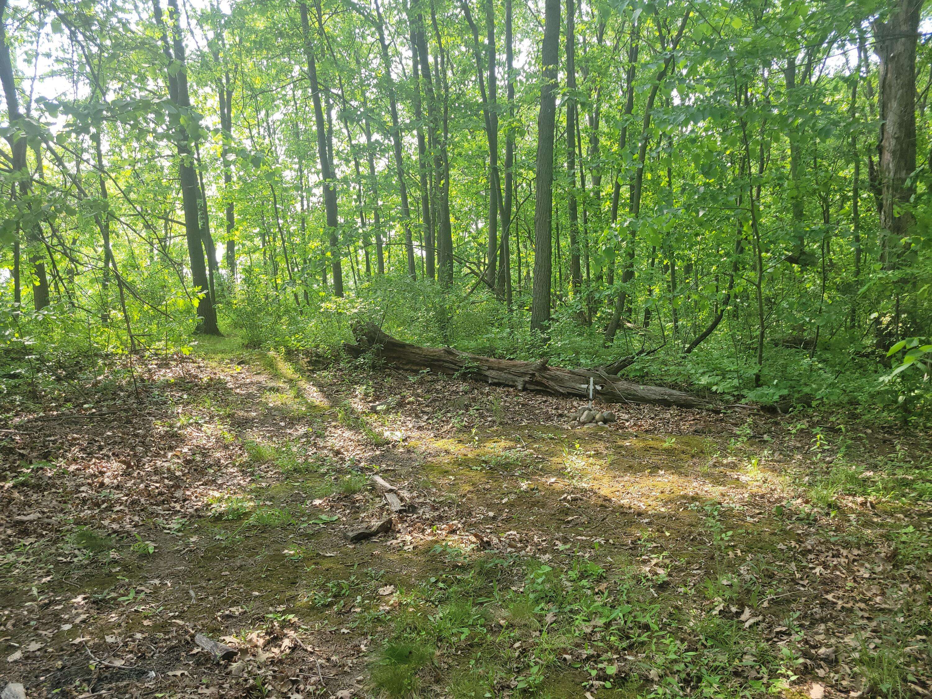 Onsted, MI 49265,0 Cavan Court
