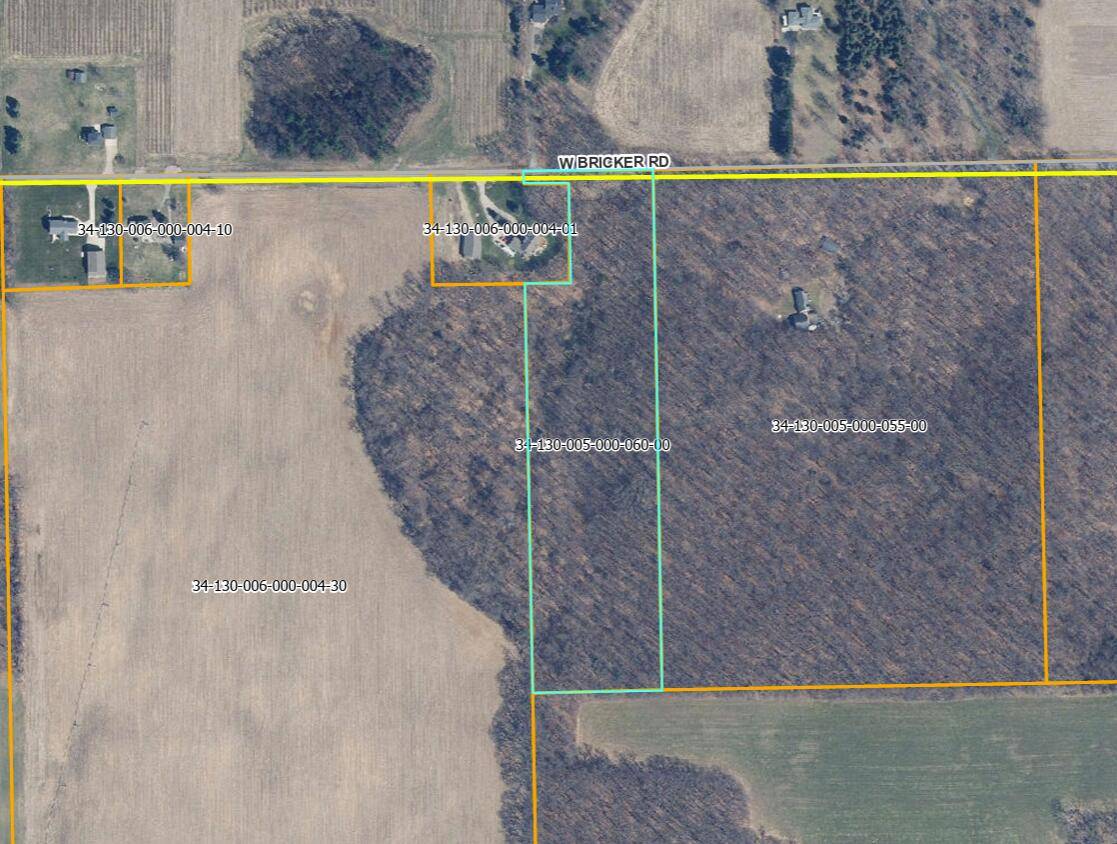Belding, MI 48809,W Bricker Road