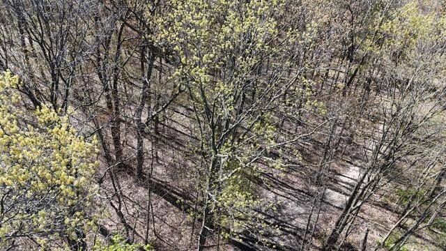 Belding, MI 48809,W Bricker Road