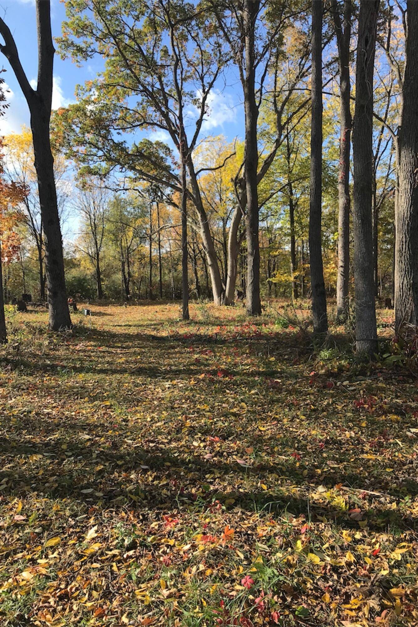 Metamora, MI 48455,4127 Carriage Hill Drive