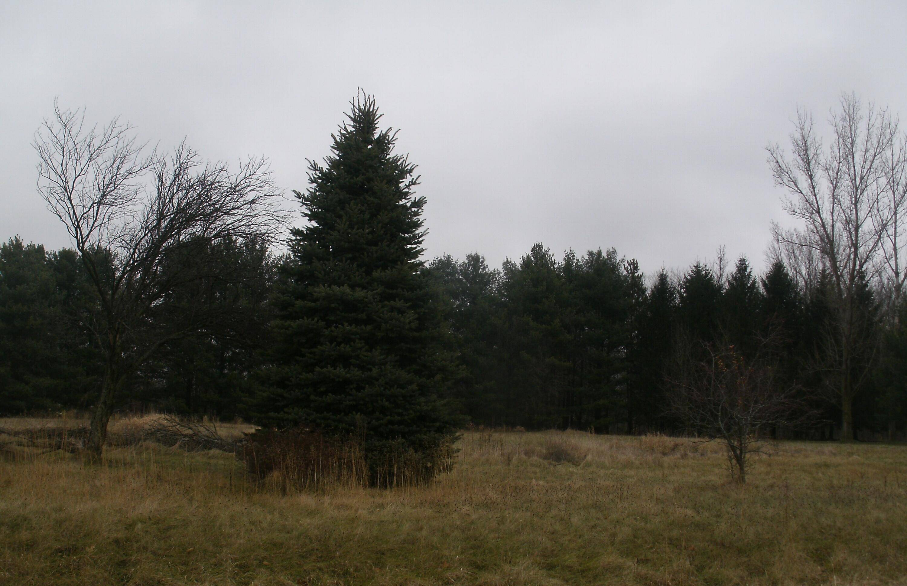 Burr Oak, MI 49030,64457 Needham Road