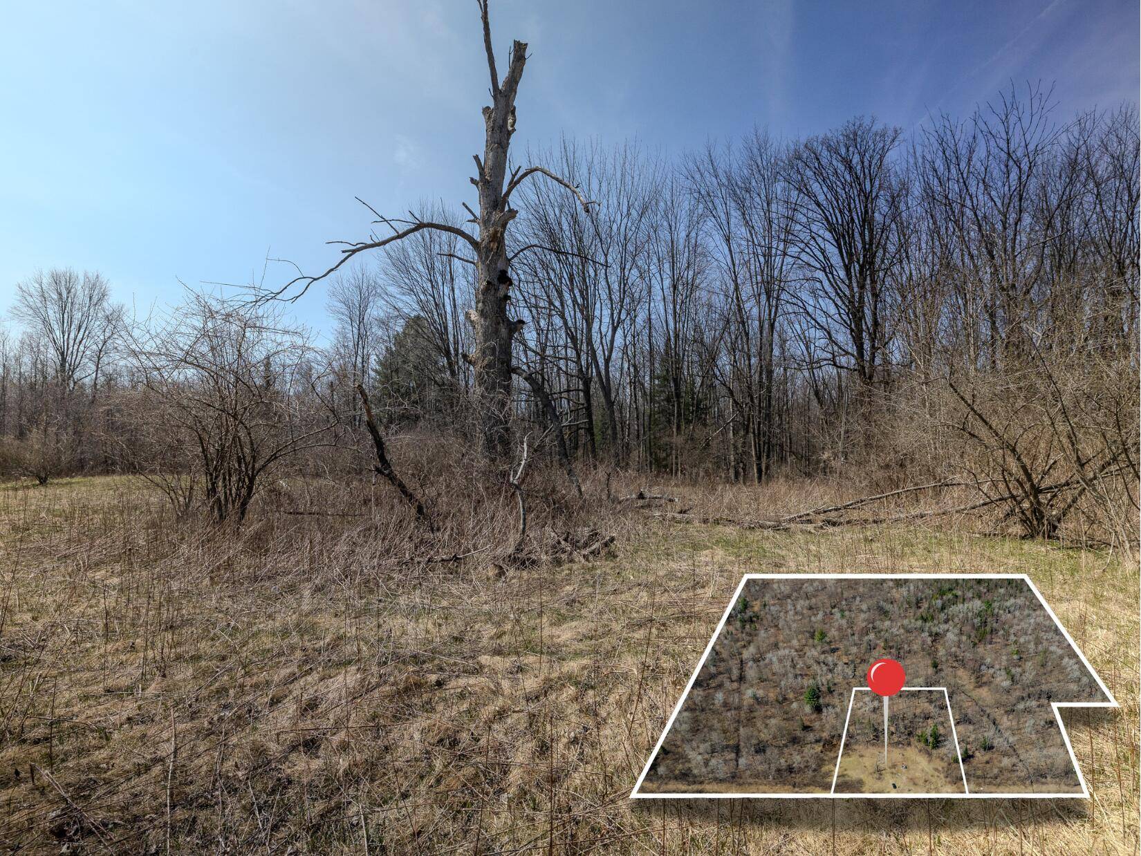 Beaverton, MI 48612,V/L S Wieman Rd