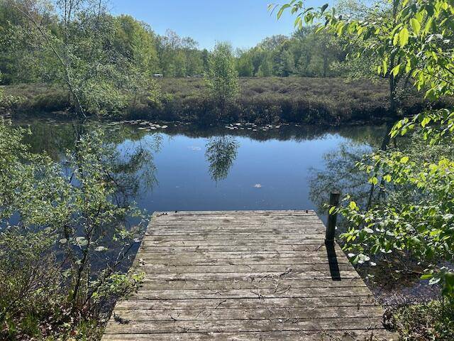 Canadian Lakes, MI 49346,11021 Heather Lane